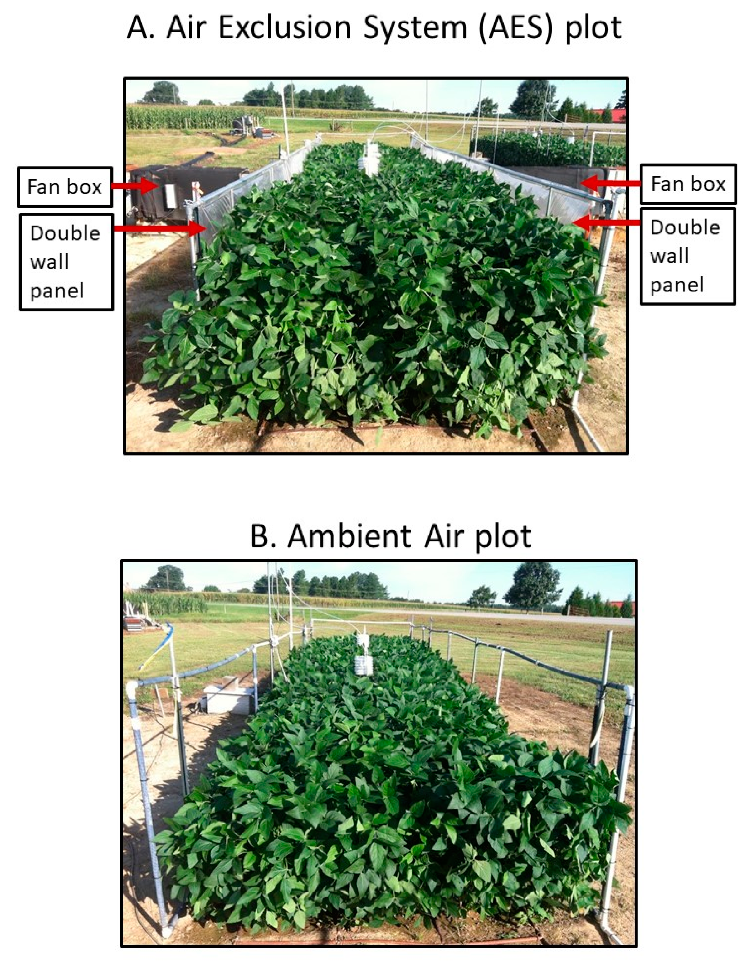 Agronomy 10 01803 g001