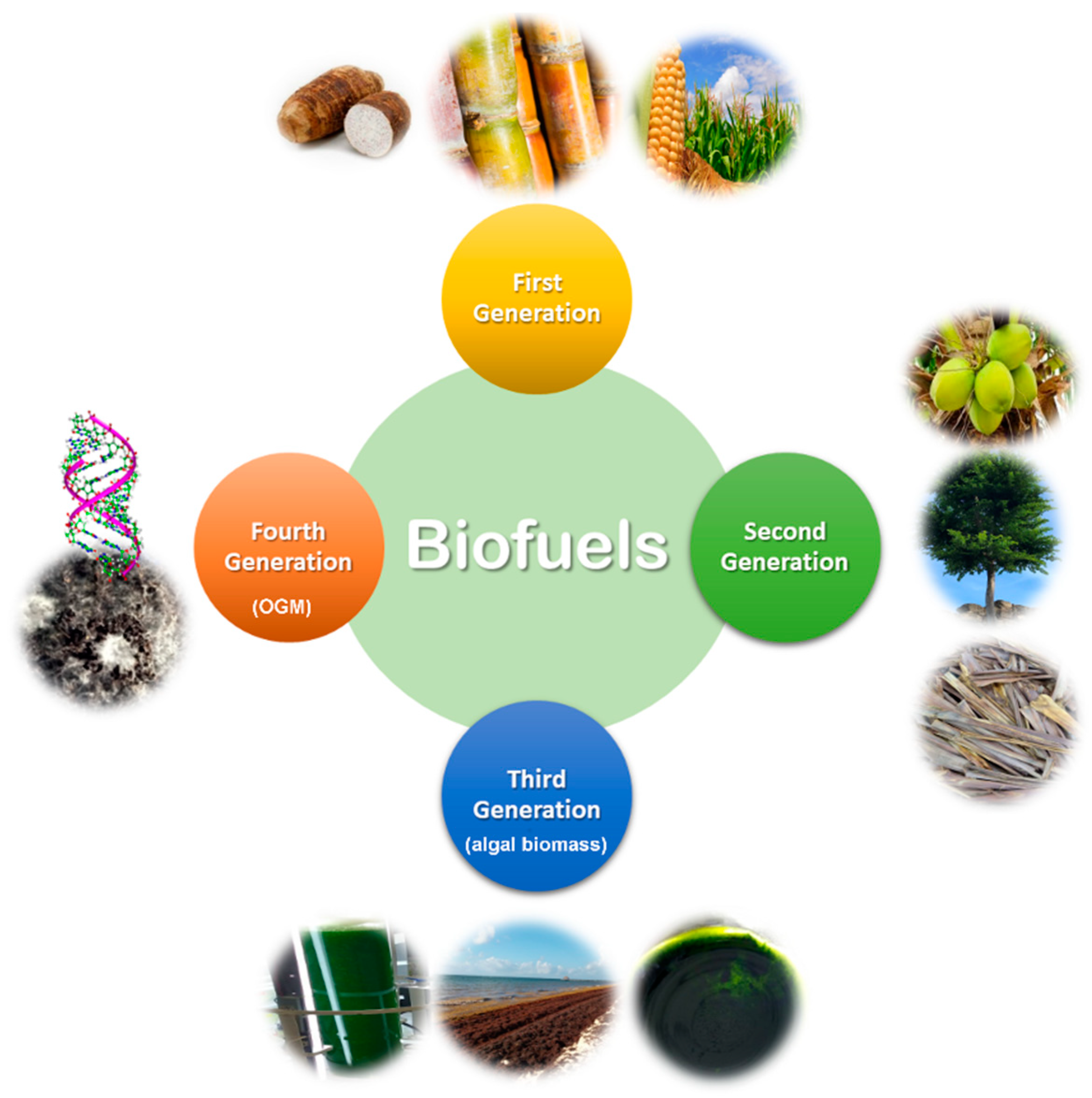 Agronomy | Free Full-Text | Consolidated Bioprocessing, an Innovative  Strategy towards Sustainability for Biofuels Production from Crop Residues:  An Overview | HTML