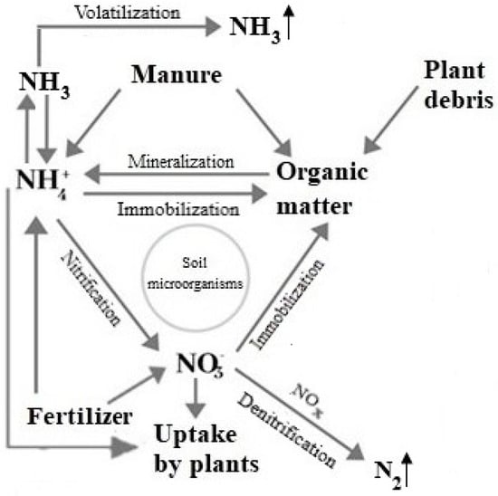 Agronomy Free Full Text Environmental Factors Affecting The Mineralization Of Crop Residues Html