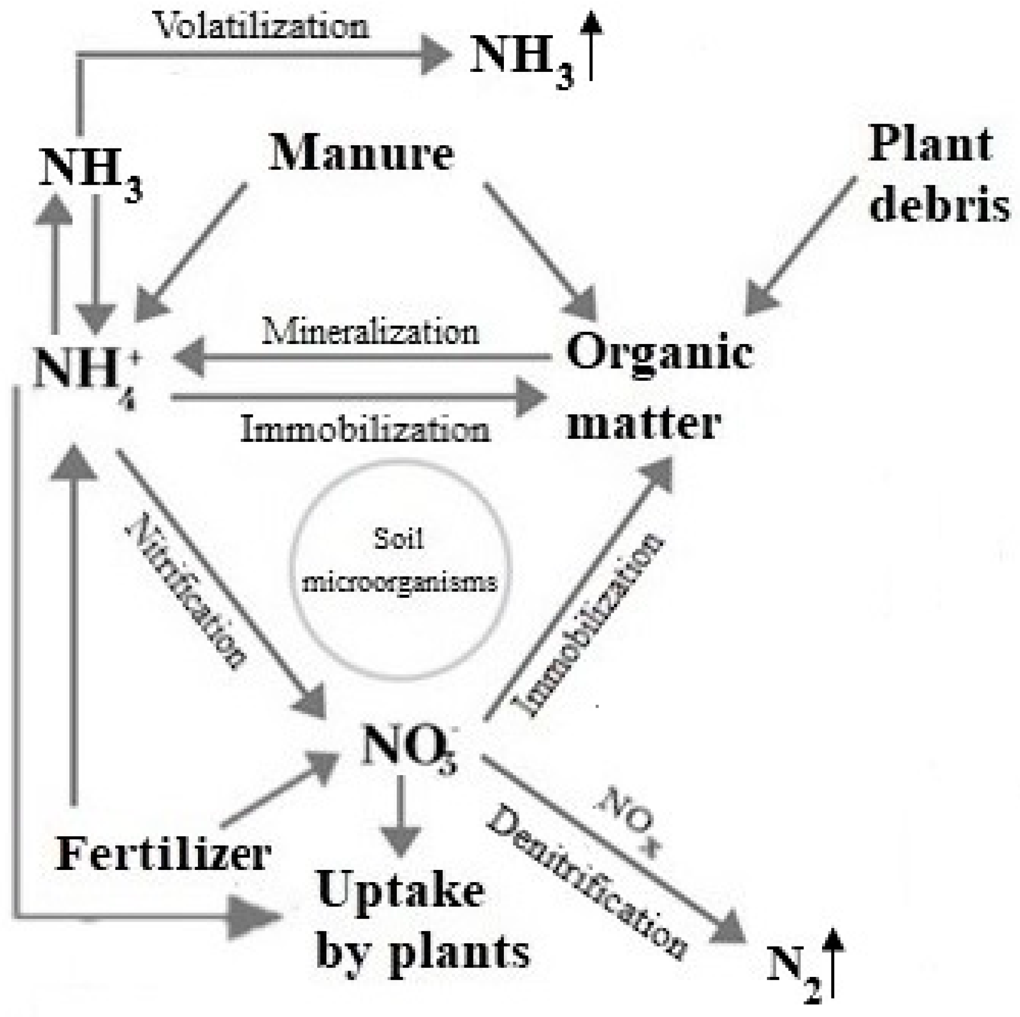 Agronomy 10 01951 g001 Agronomy 10 01951 g001