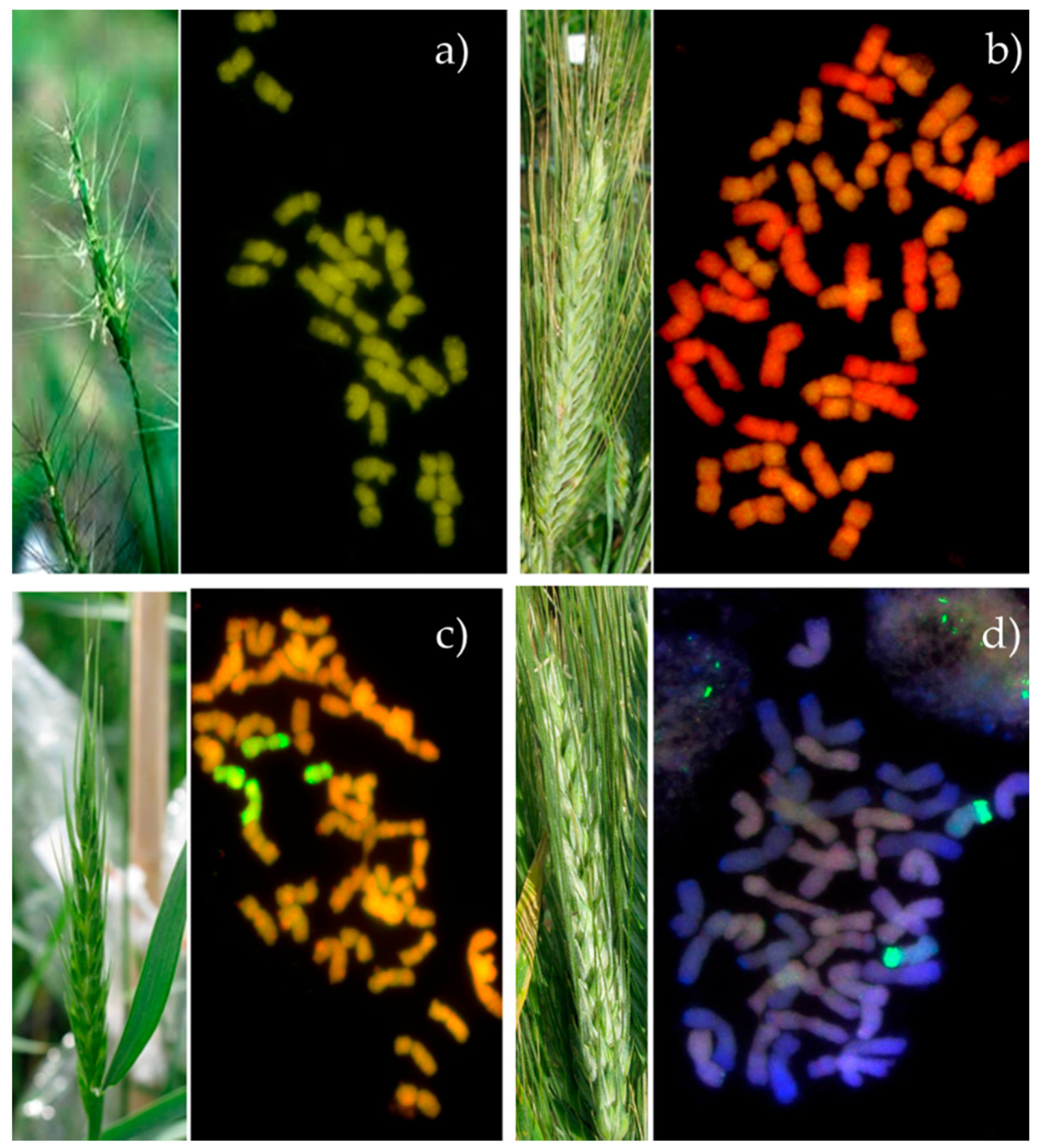 Agronomy 10 01991 g001