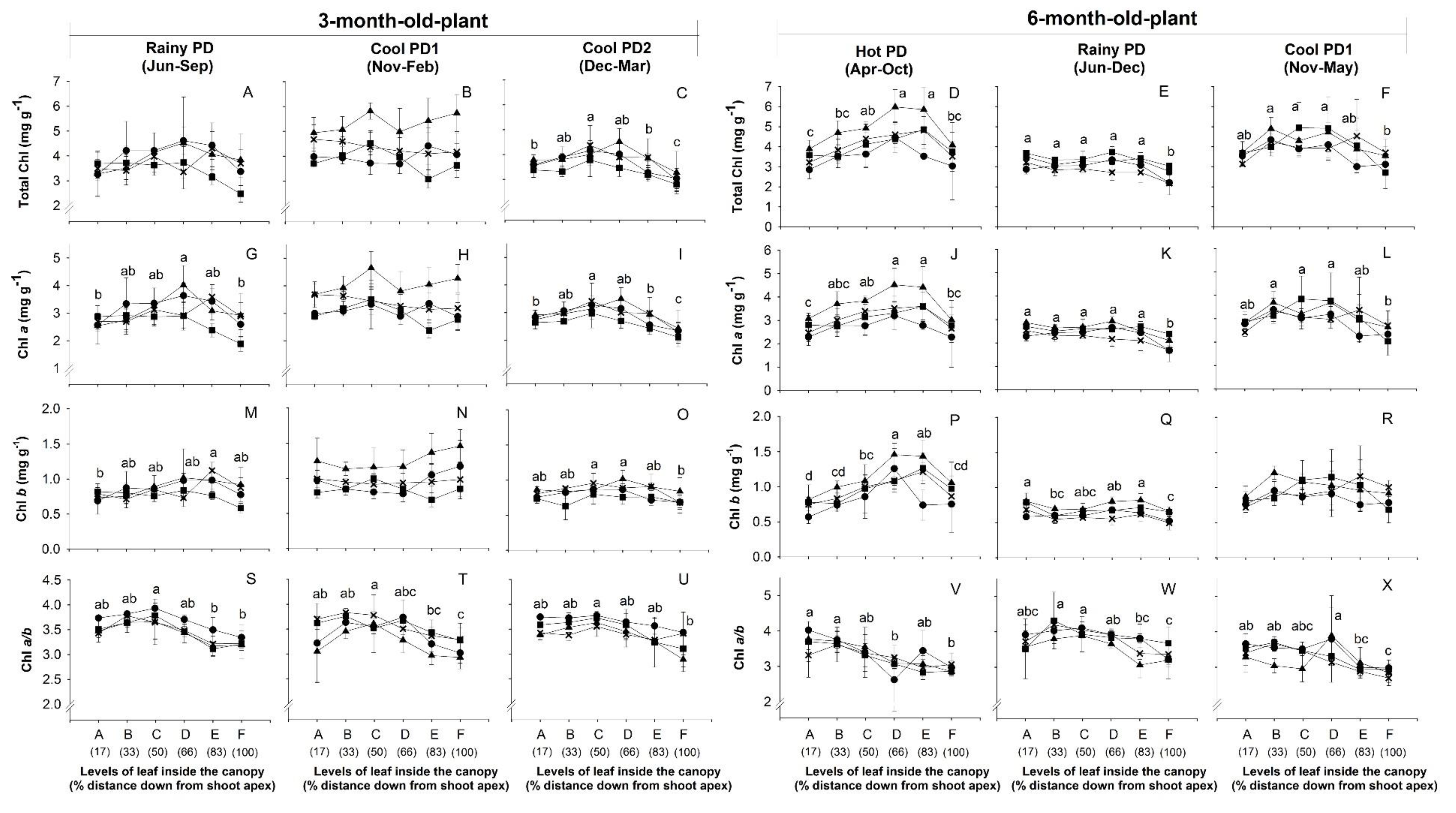 Agronomy Free Full Text Canopy Structure And Photosynthetic Performance Of Irrigated Cassava Genotypes Growing In Different Seasons In A Tropical Savanna Climate Html