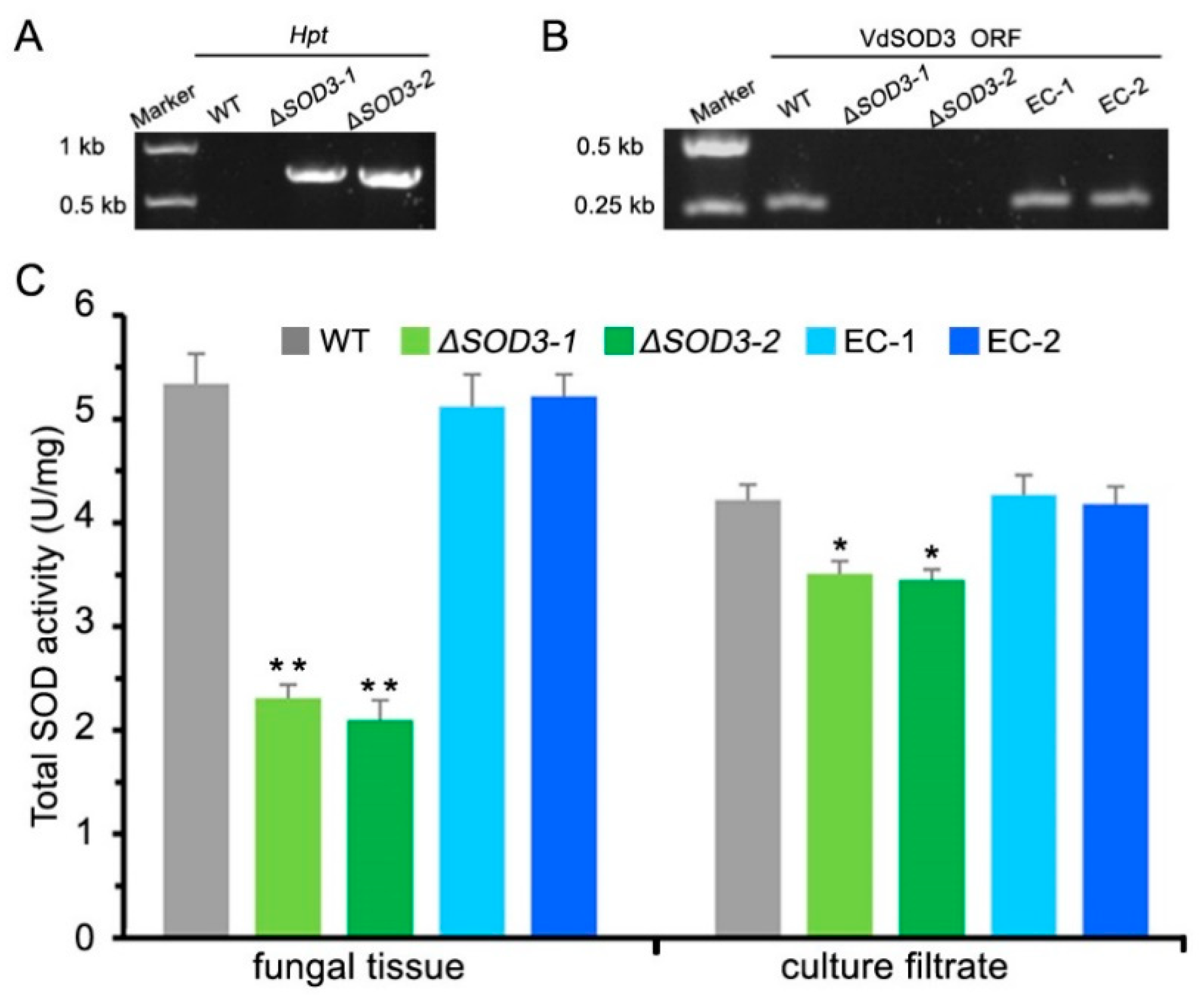 Agronomy 11 00013 g004 Agronomy 11 00013 g004
