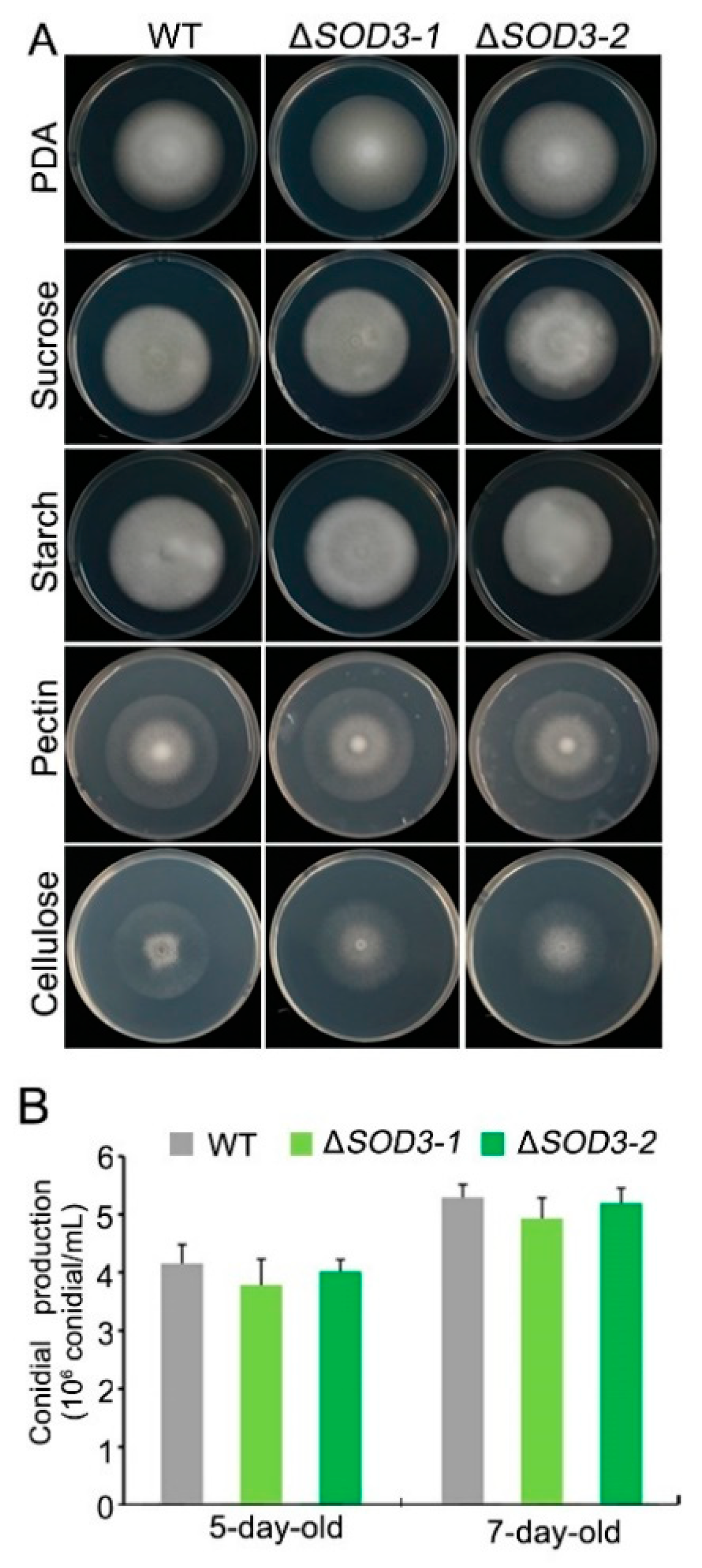 Agronomy 11 00013 g005 Agronomy 11 00013 g005