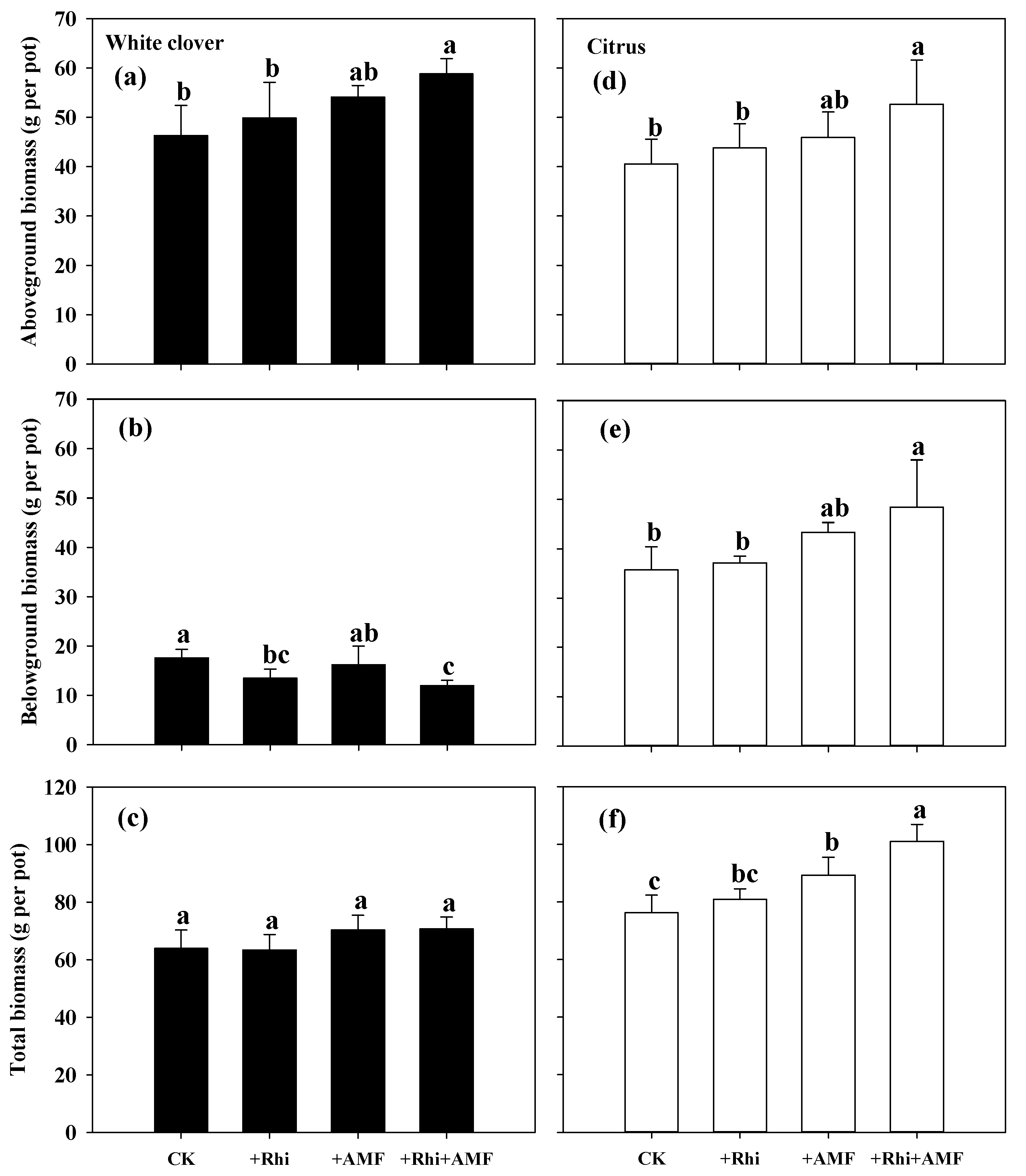 Agronomy Free Full Text A Small Amount Of Nitrogen Transfer From White Clover To Citrus Seedling Via Common Arbuscular Mycorrhizal Networks Html