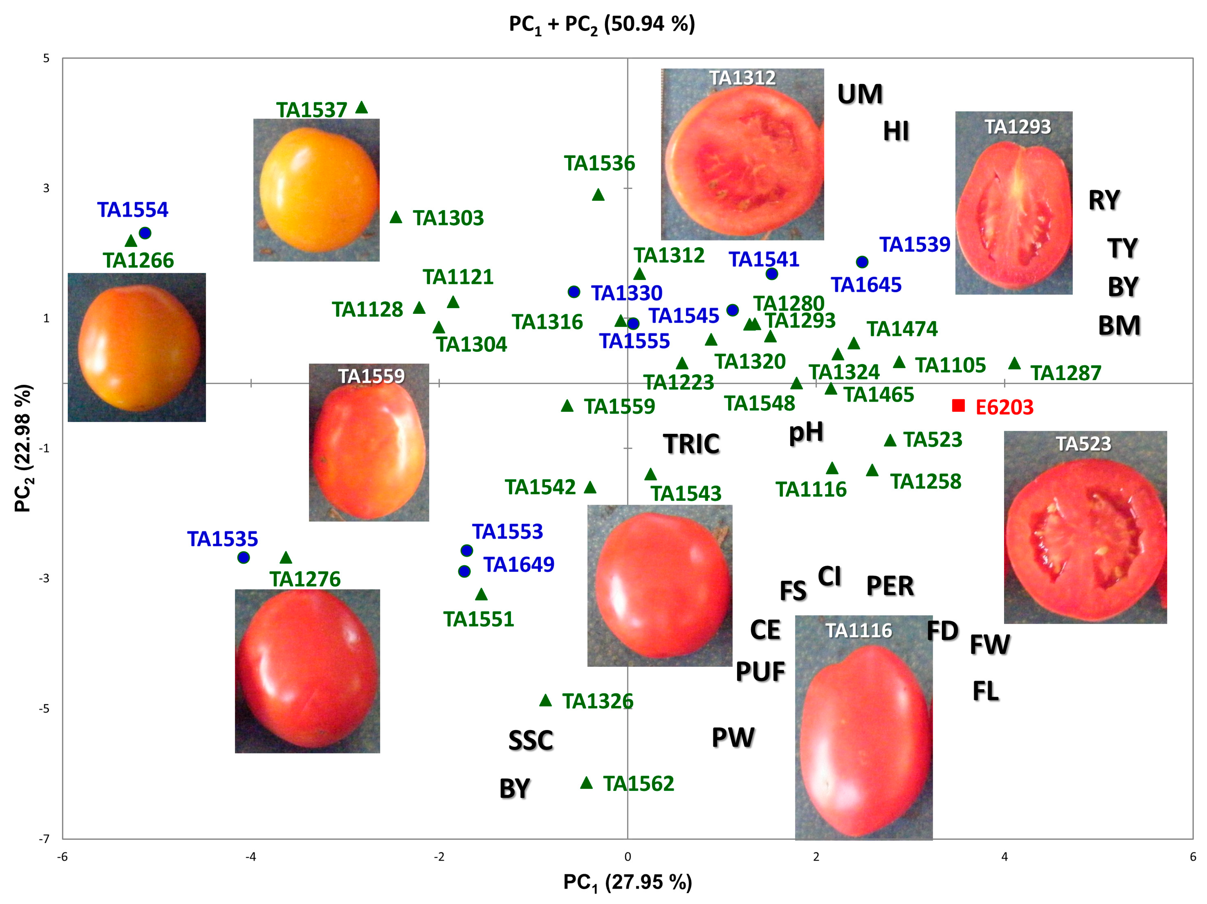 Agronomy 11 00038 g002 Agronomy 11 00038 g002