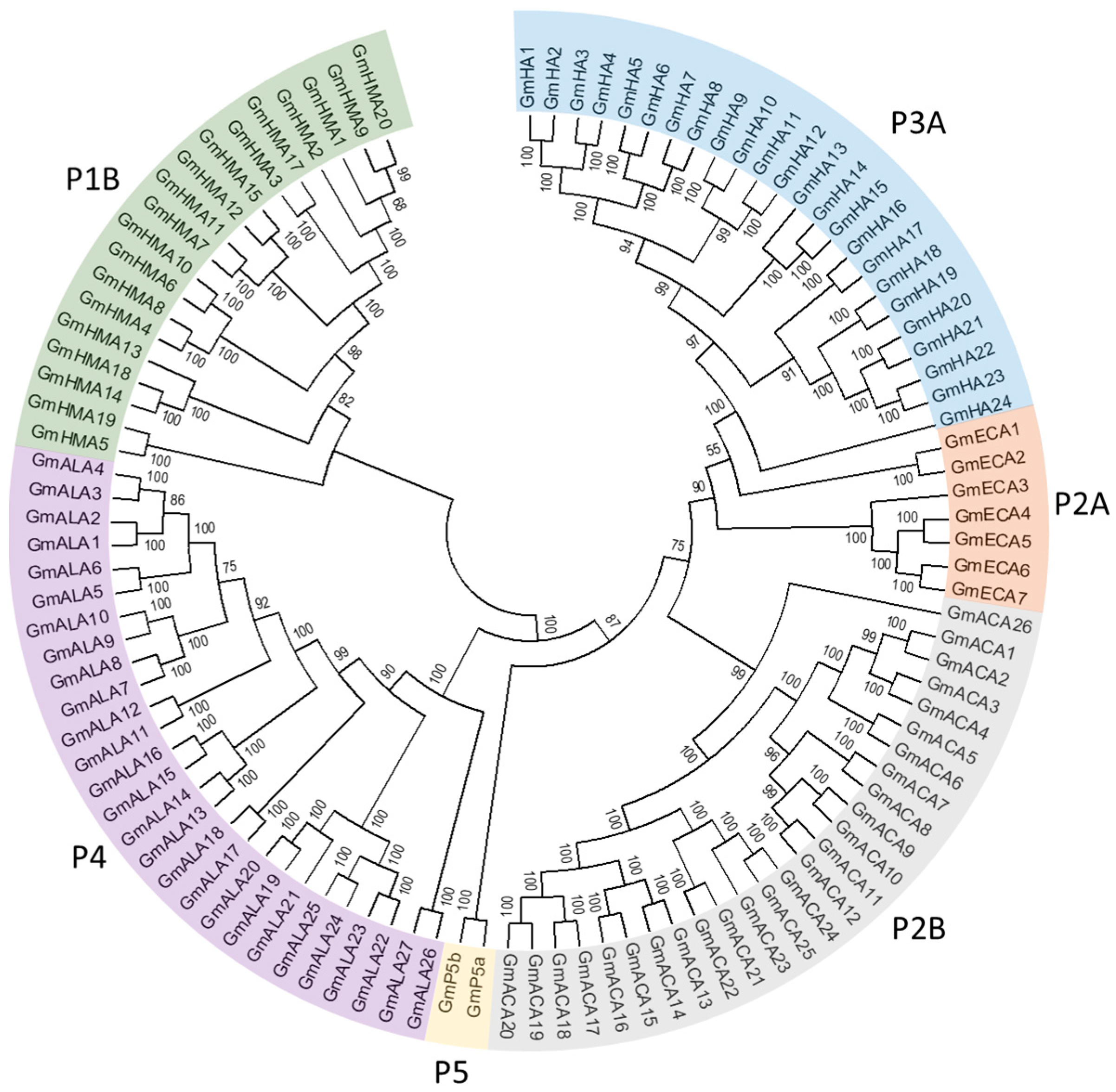 Agronomy 11 00071 g001