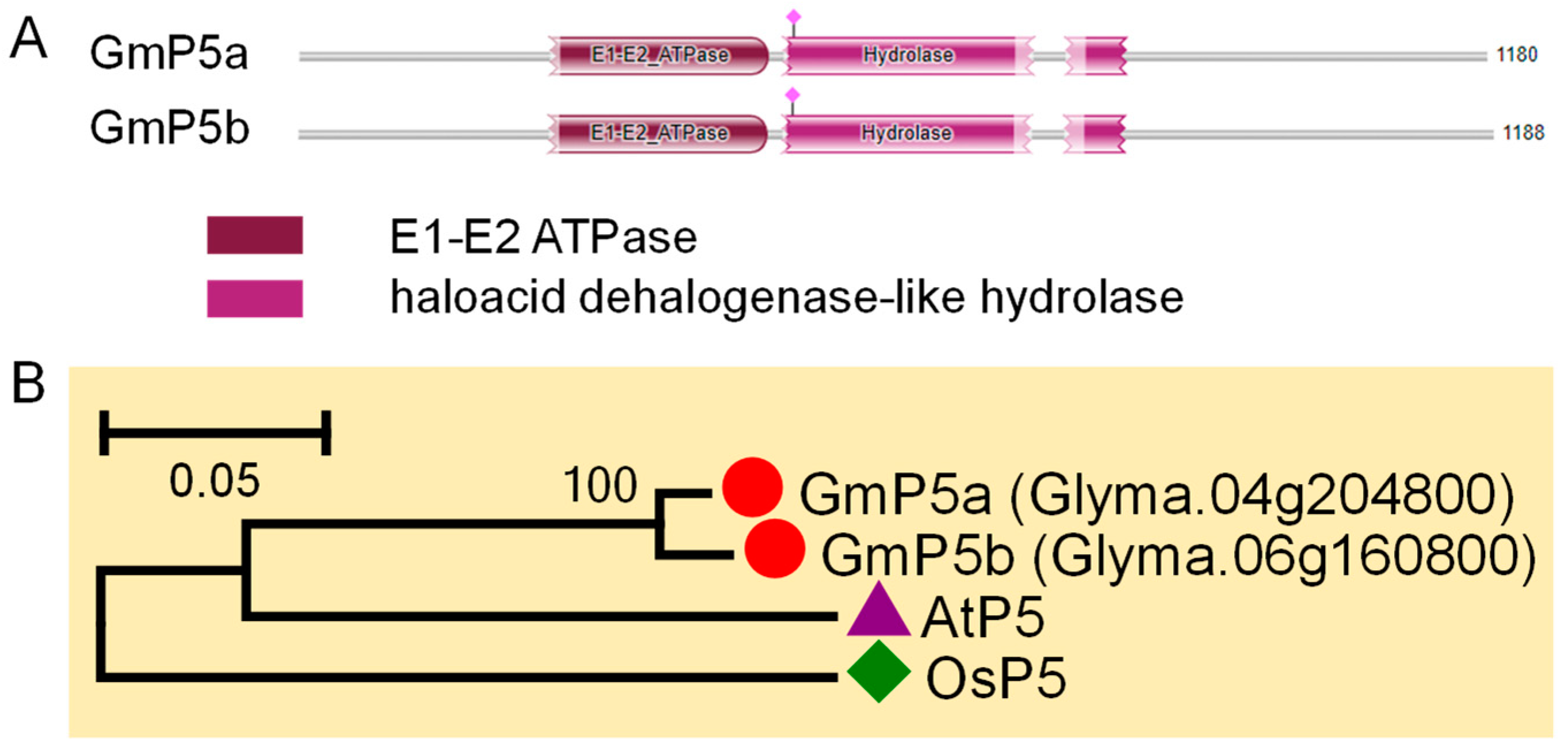 Agronomy 11 00071 g009