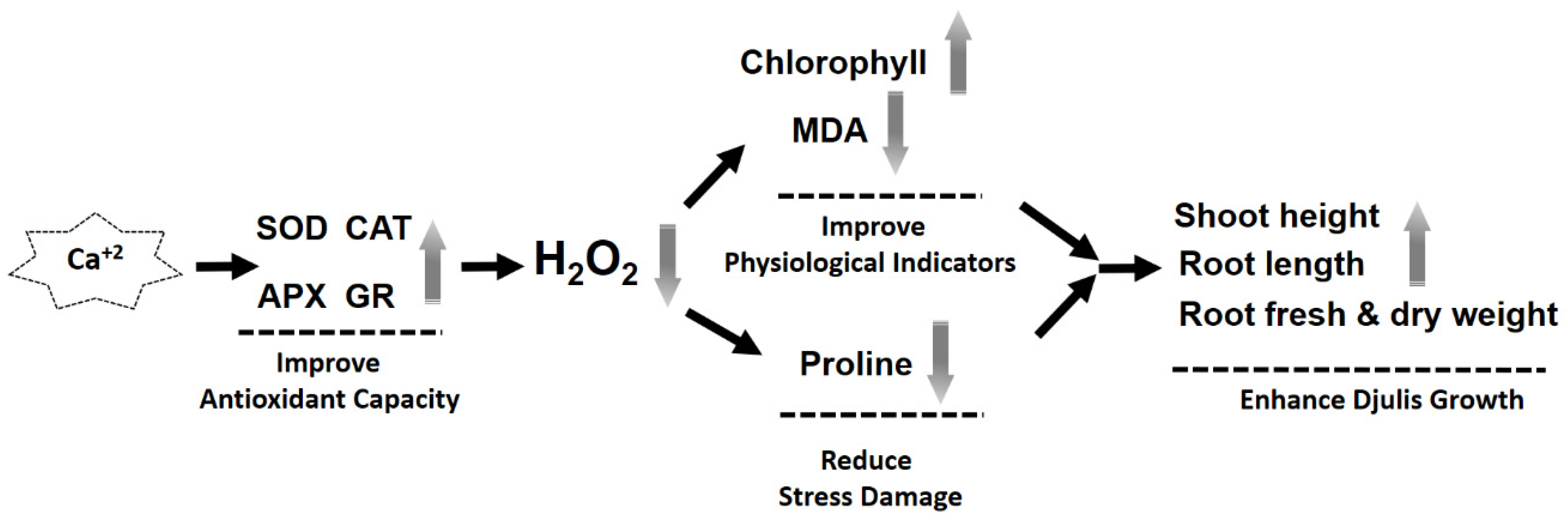 Agronomy 11 00082 g007 Agronomy 11 00082 g007