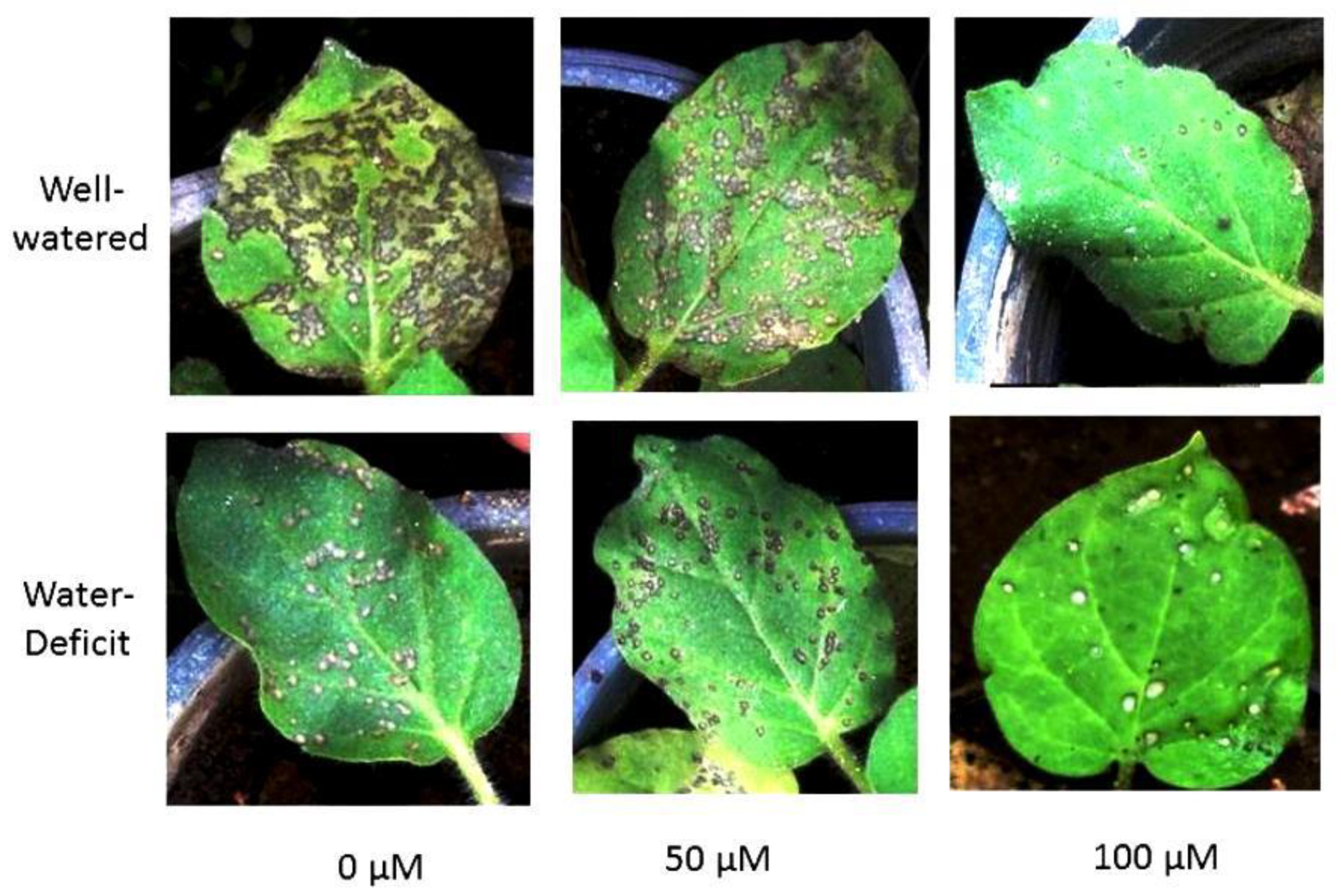 Agronomy 11 00087 g009