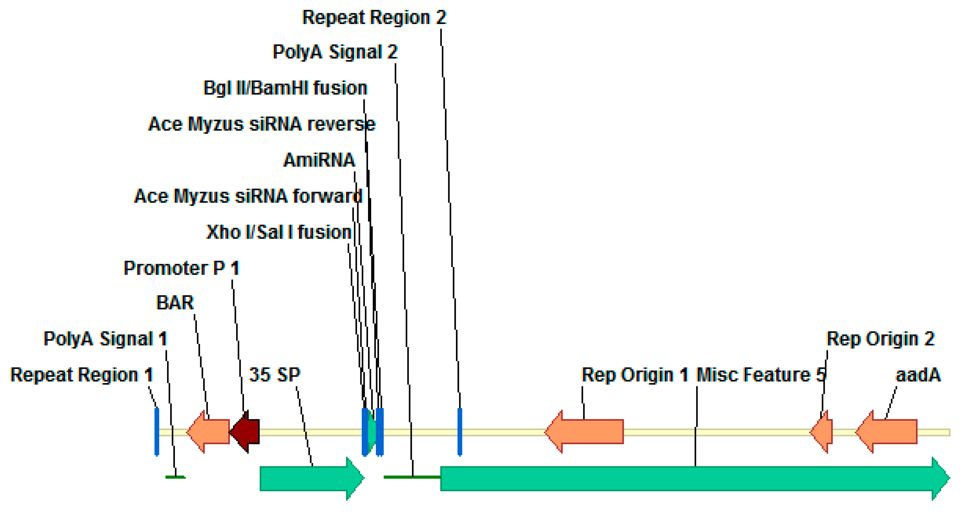 Agronomy 11 00136 g001