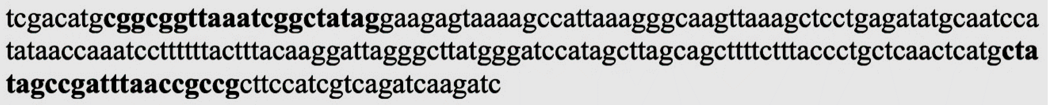 Agronomy 11 00136 g002