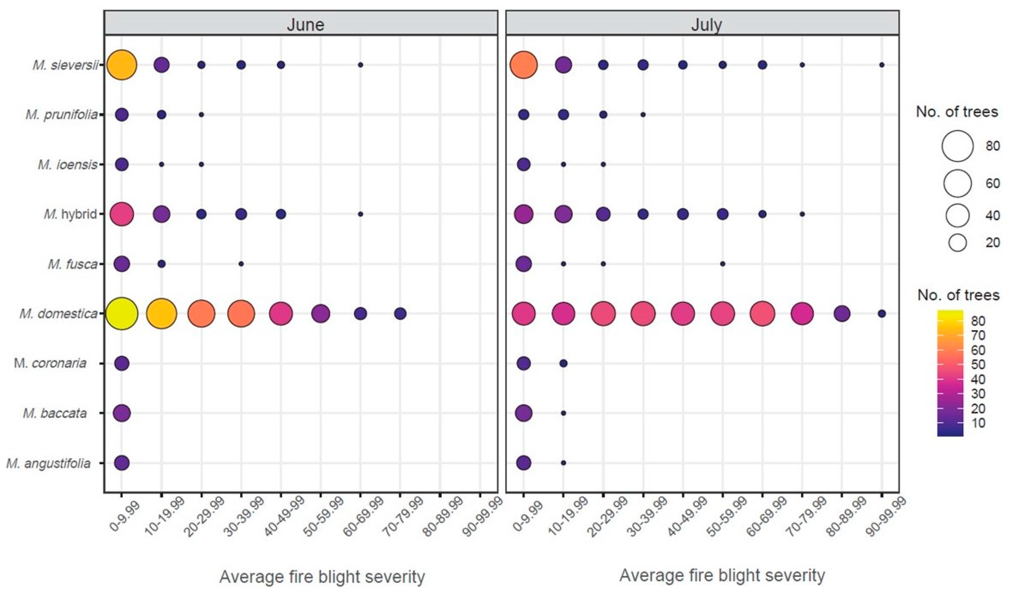 Agronomy Free Full Text Phenotypic Evaluation Of Fire Blight Outbreak In The Usda Malus Collection Html