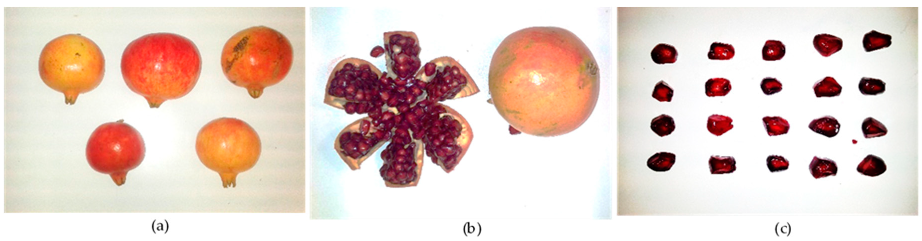Agronomy | Free Full-Text | Pomegranate Cultivation in Mediterranean  Climate: Plant Adaptation and Fruit Quality of 'Mollar de Elche' and  'Wonderful' Cultivars | HTML
