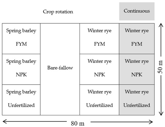 Agronomy | Free Full-Text | Energy Efficiency of Continuous Rye, Rotational  Rye and Barley in Different Fertilization Systems in a Long-Term Field  Experiment | HTML