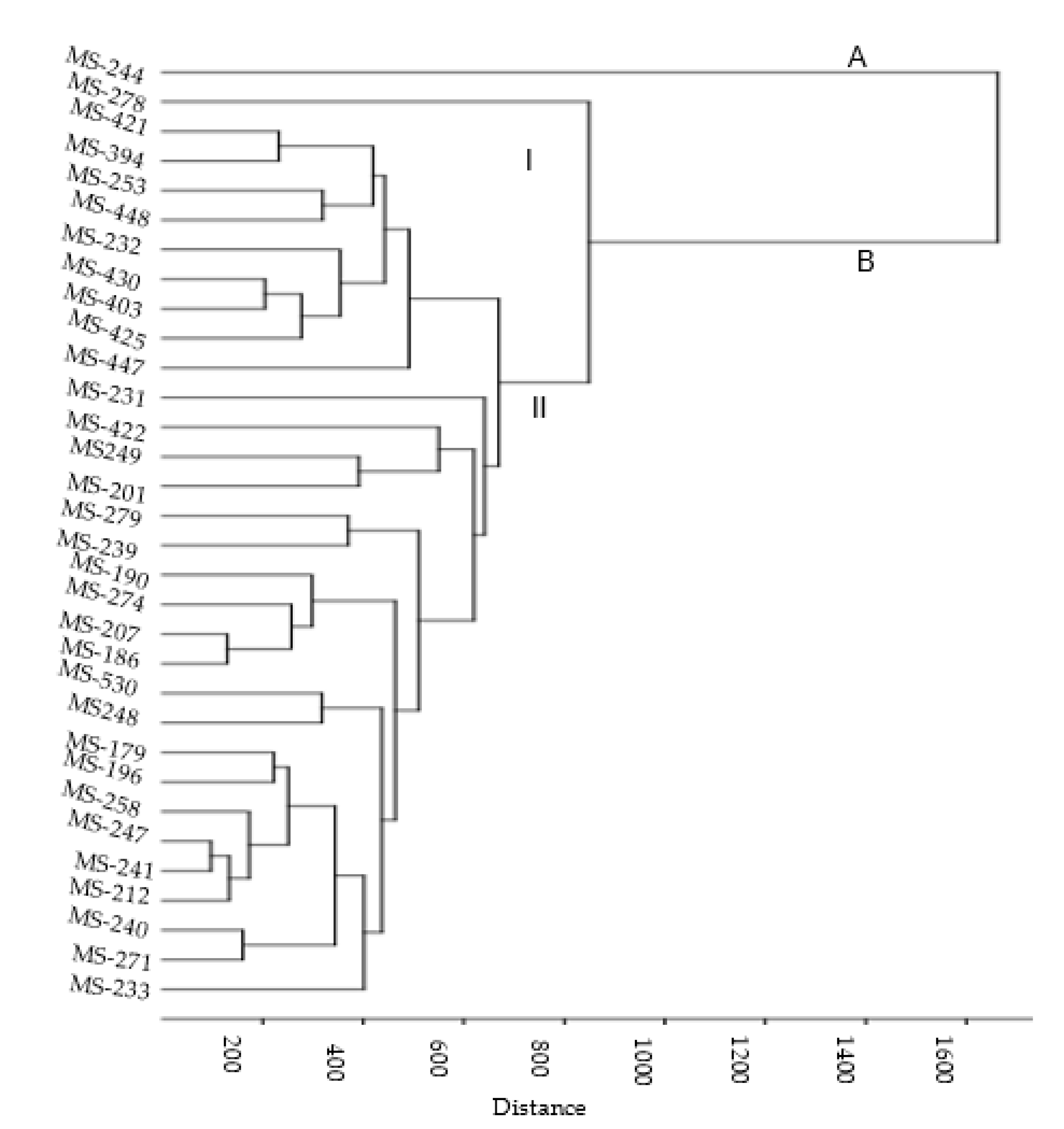 Agronomy 11 00243 g005