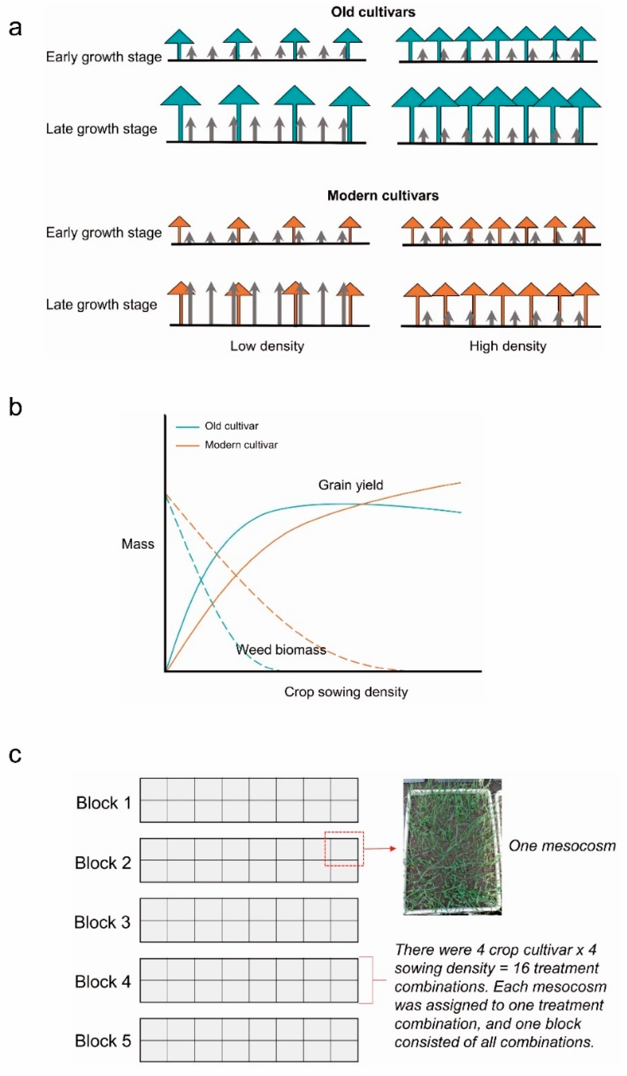 Agronomy 11 00253 g001