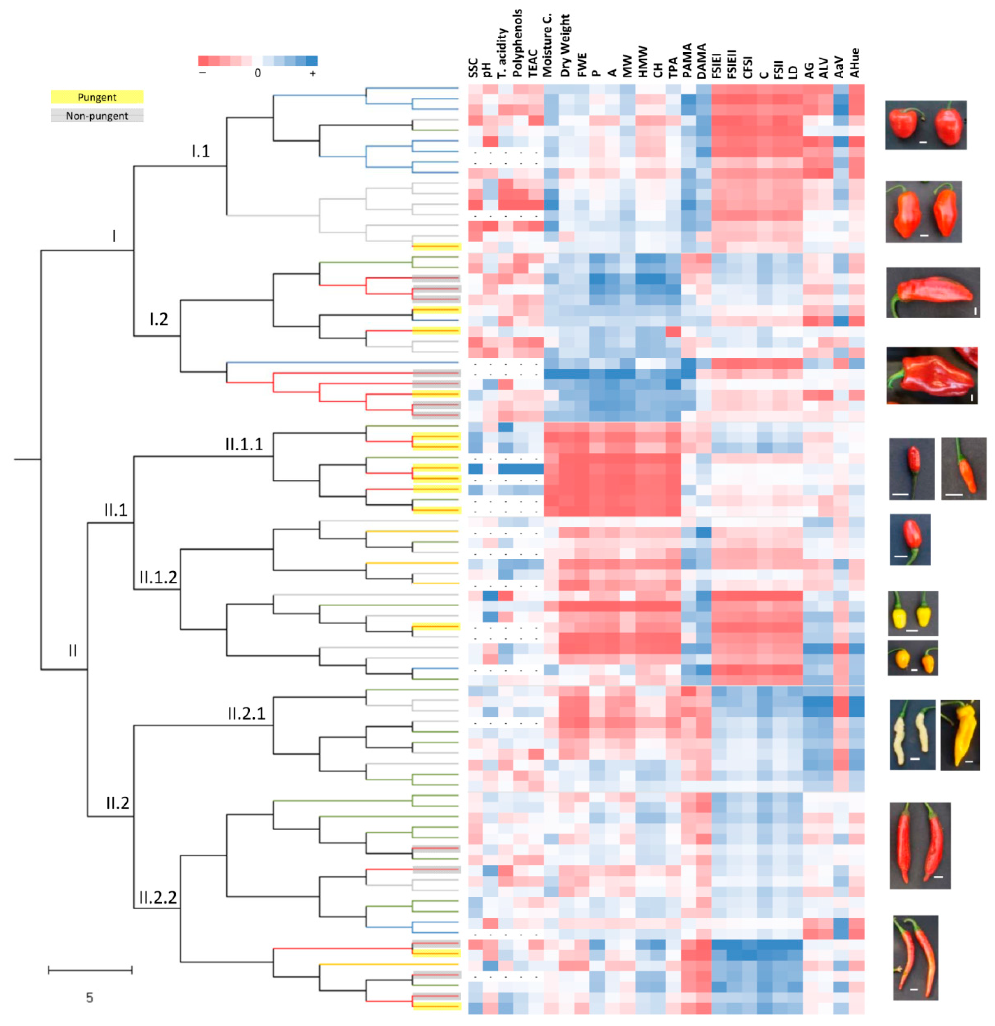 Agronomy 11 00262 g007 Agronomy 11 00262 g007