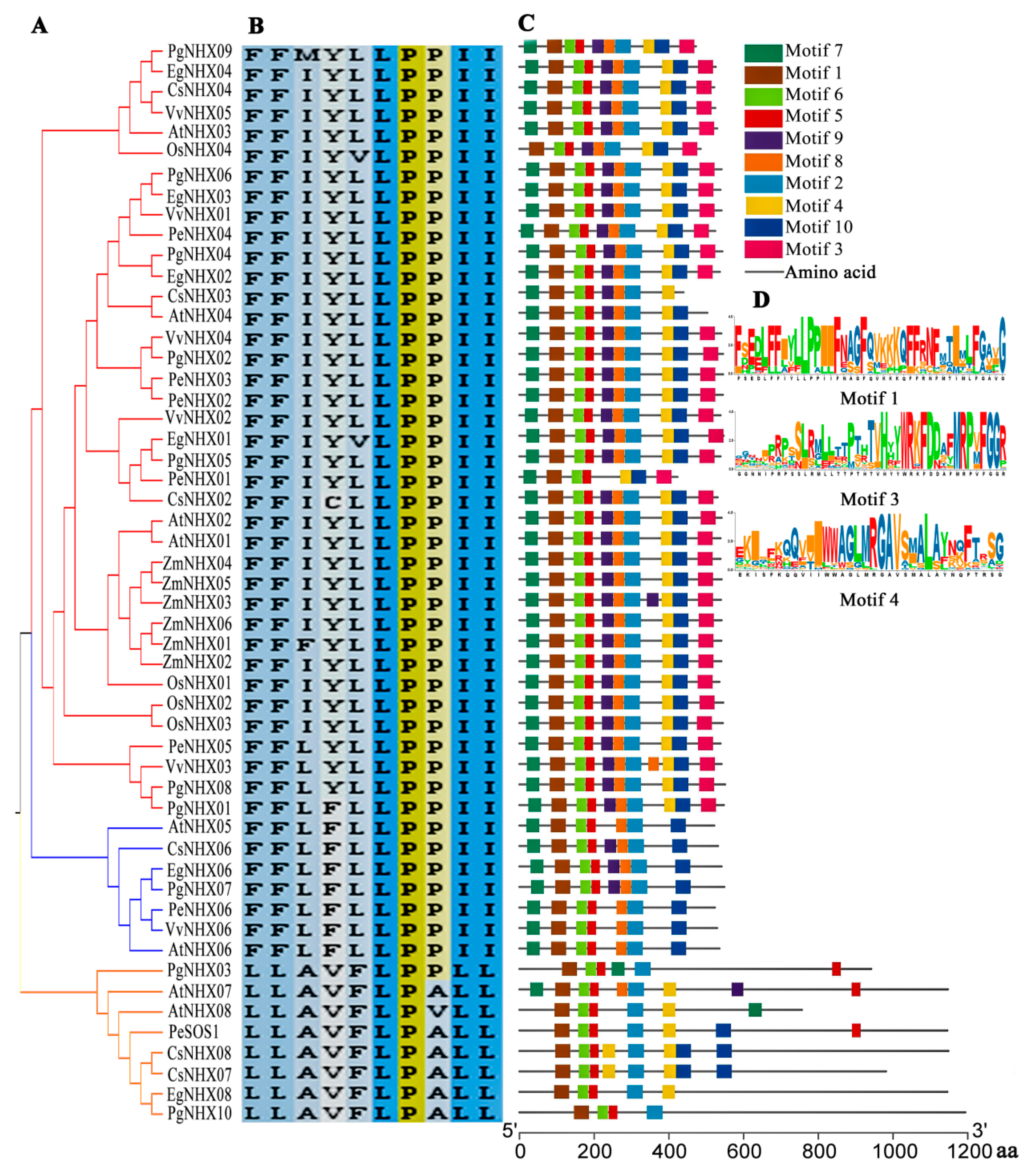 Agronomy 11 00264 g002 Agronomy 11 00264 g002