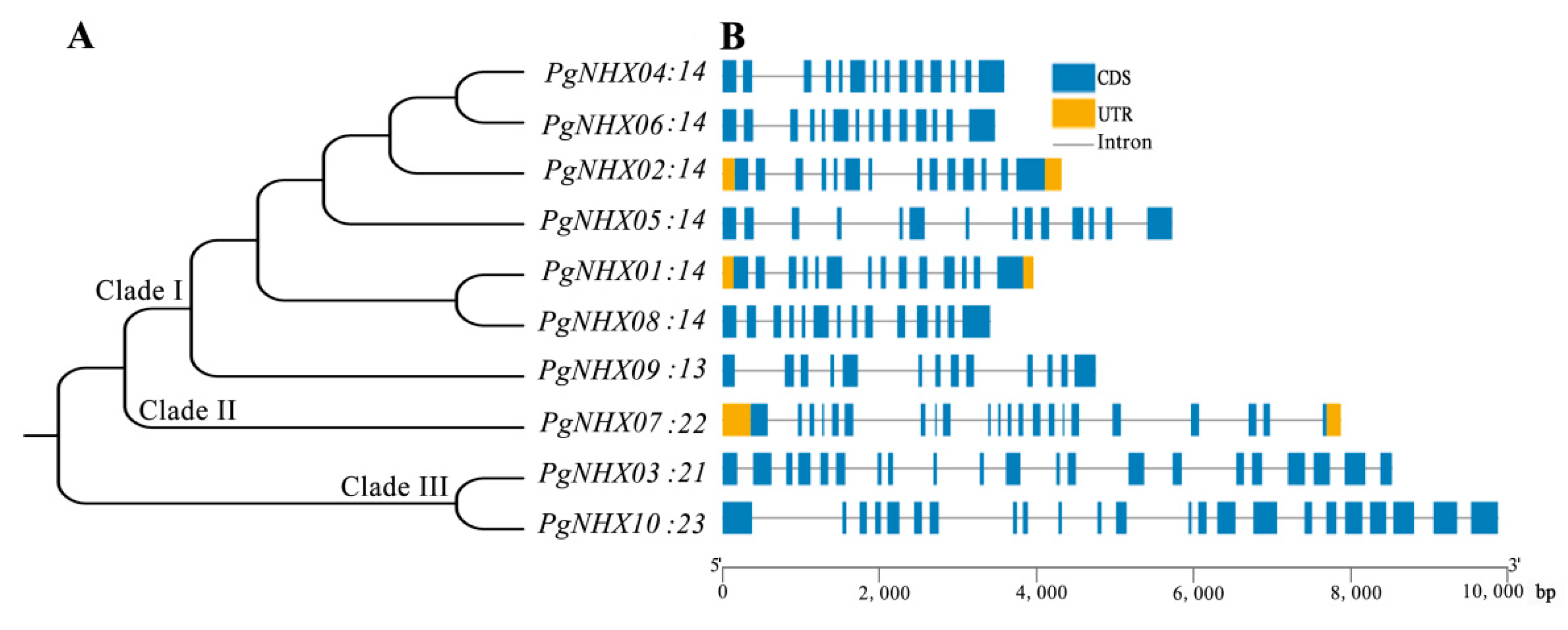 Agronomy 11 00264 g003 Agronomy 11 00264 g003