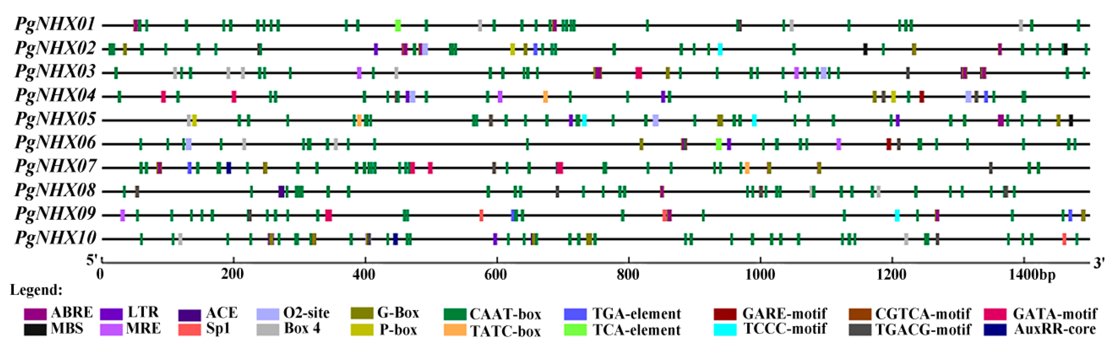 Agronomy 11 00264 g006 Agronomy 11 00264 g006