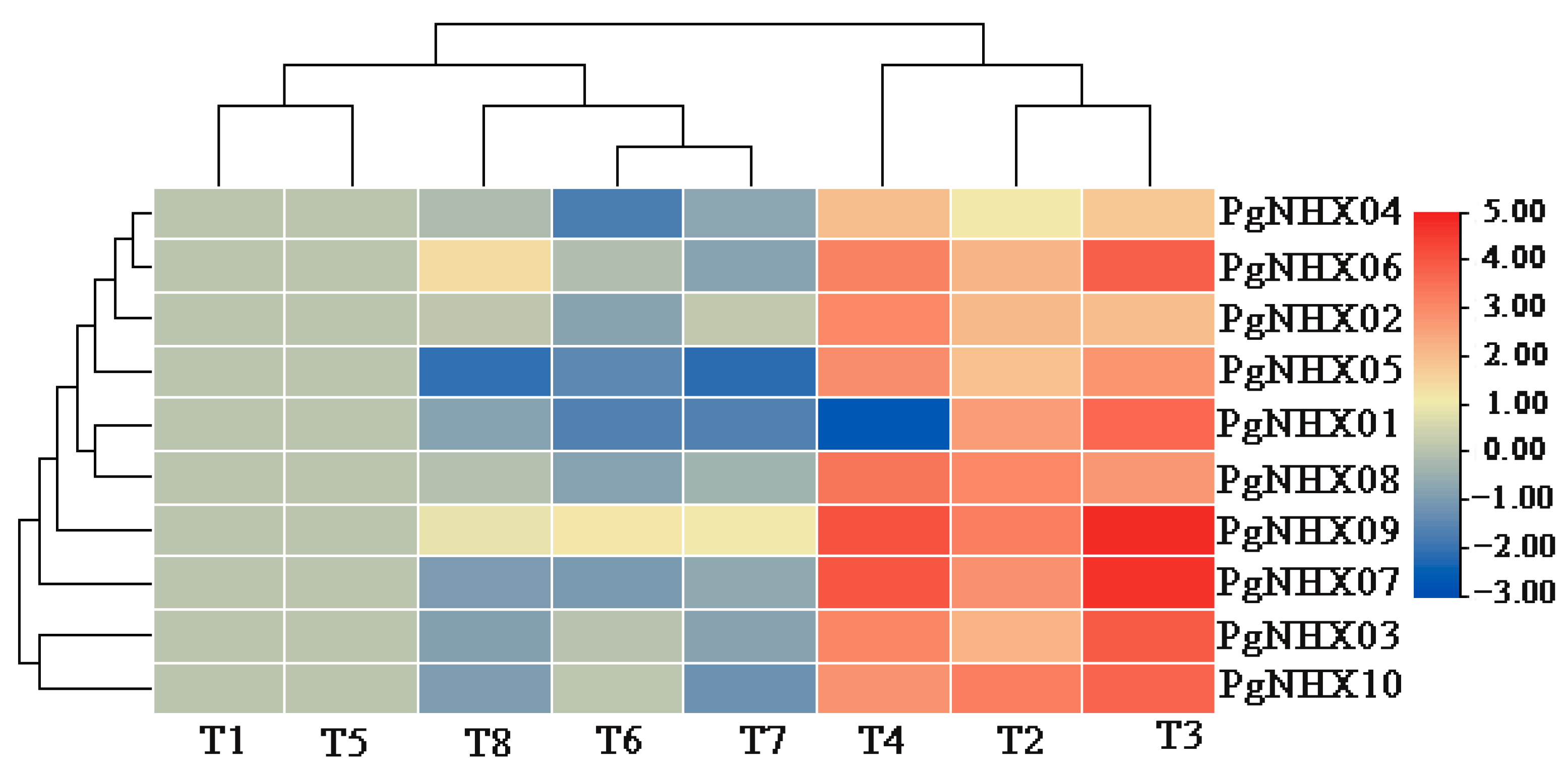 Agronomy 11 00264 g007 Agronomy 11 00264 g007