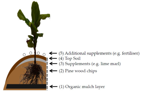 Agronomy Free Full Text Assessment Of Agro Ecological Apple Replant Disease Ard Management Strategies Organic Fertilisation And Inoculation With Mycorrhizal Fungi And Bacteria Html