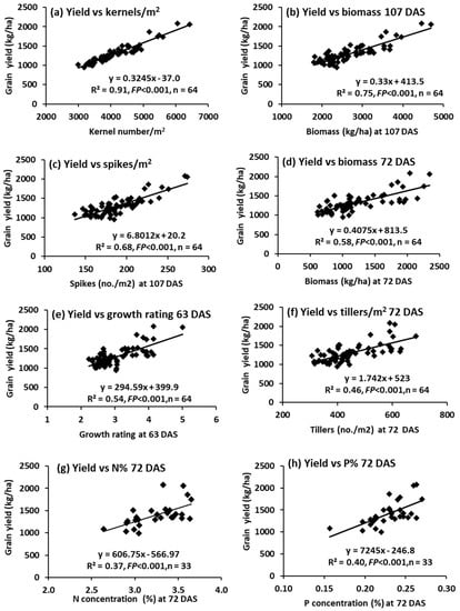 Agronomy Free Full Text Impacts Of Root Lesion Nematode Pratylenchus Thornei On Plant Nutrition Biomass Grain Yield And Yield Components Of Susceptible Intolerant Wheat Cultivars Determined By Nematicide Applications Html