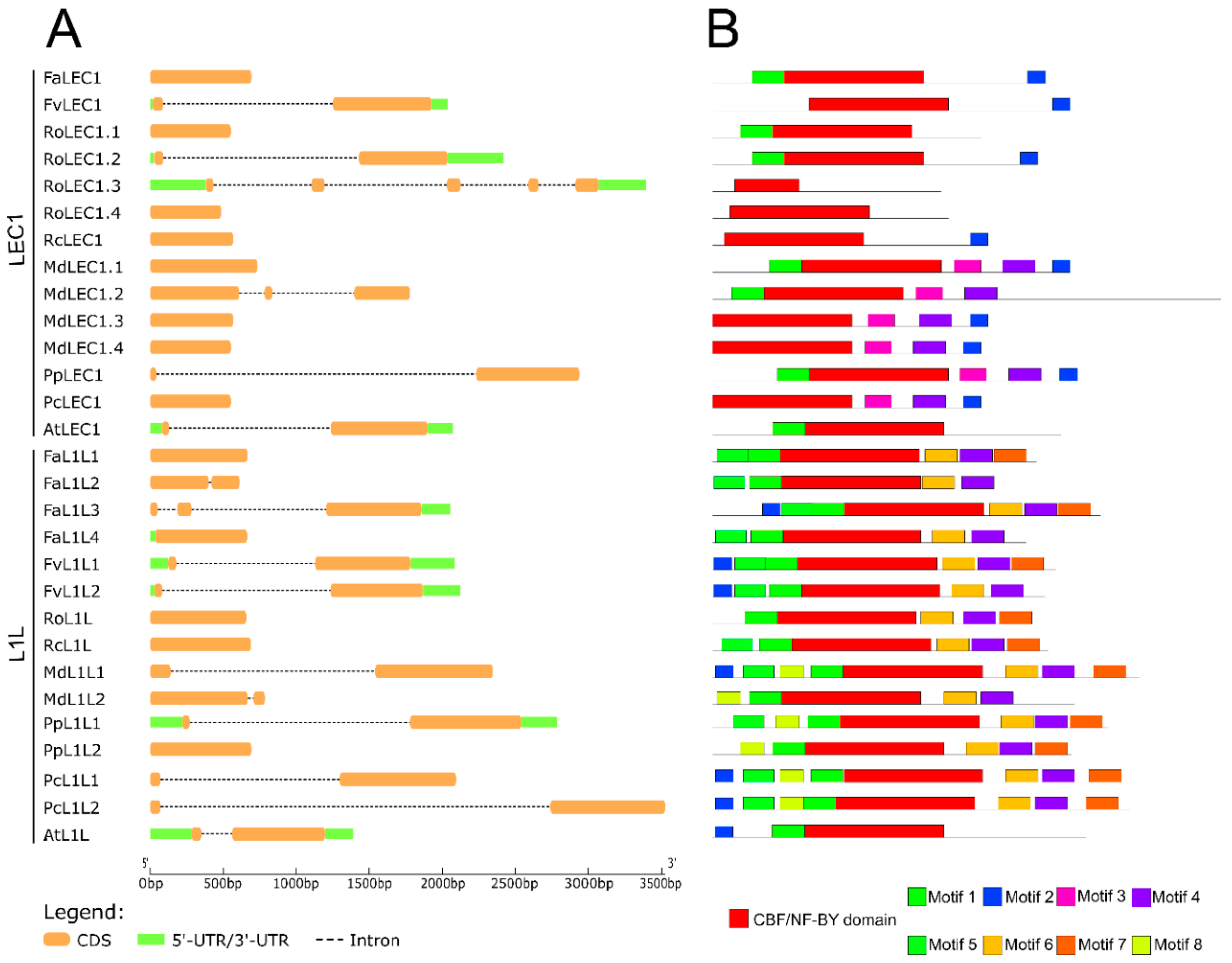 Agronomy 11 00356 g001 Agronomy 11 00356 g001