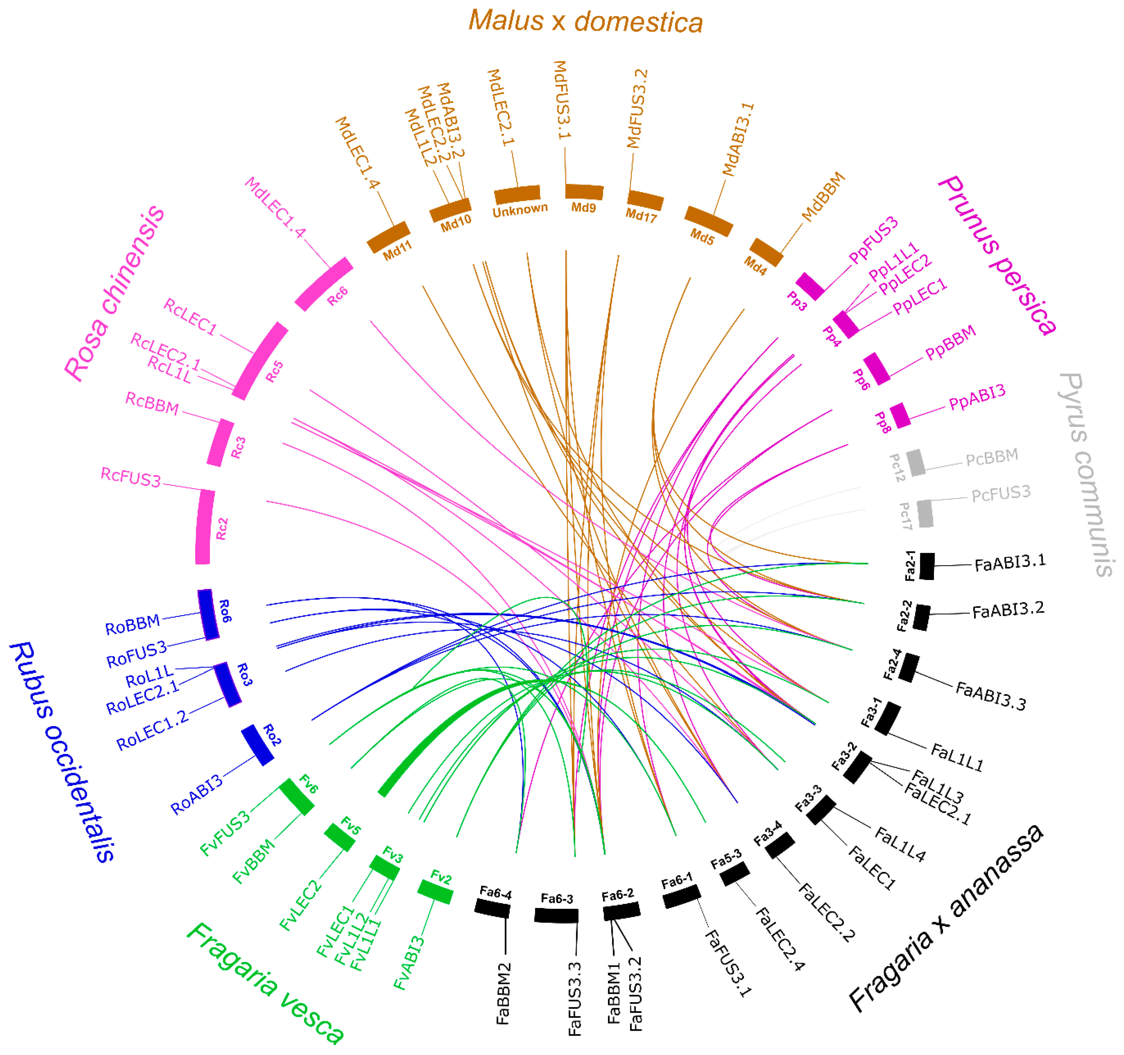 Agronomy 11 00356 g004 Agronomy 11 00356 g004