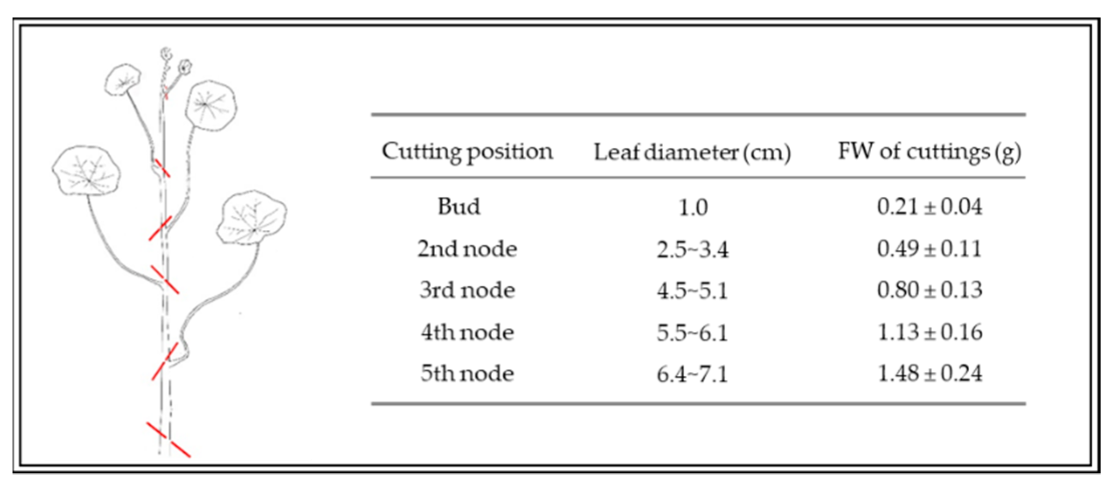 Agronomy 11 00363 g001