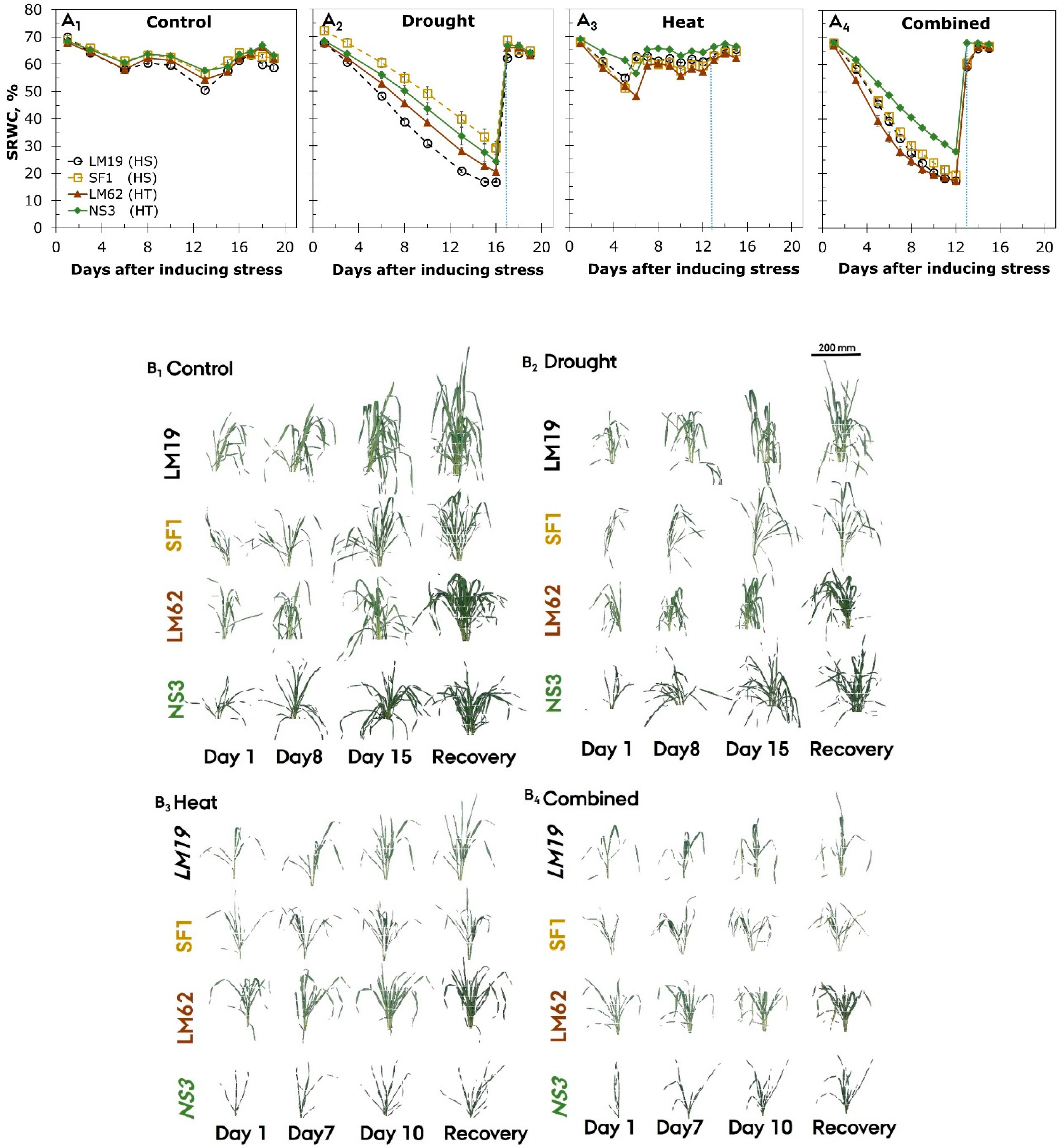 Agronomy 11 00364 g002