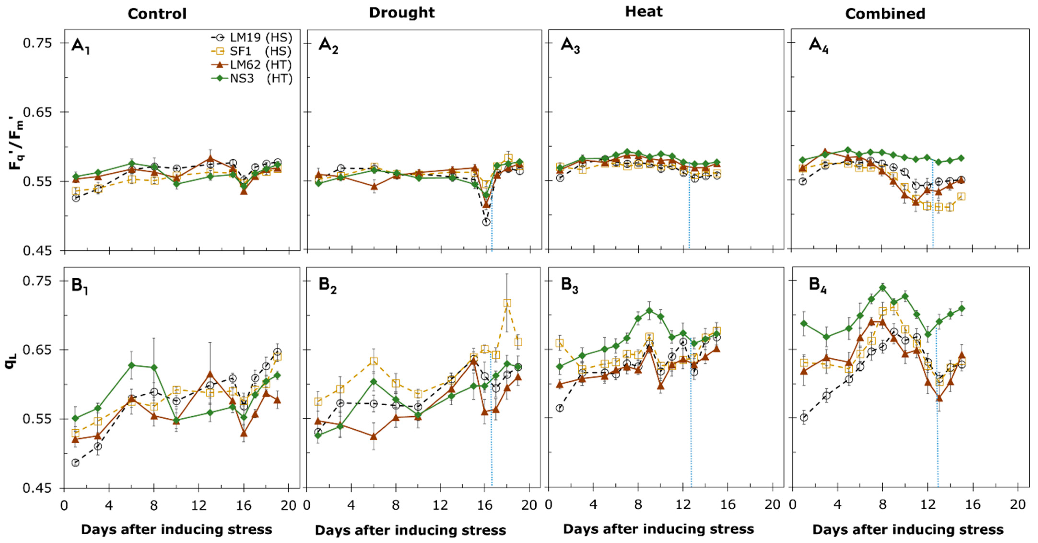 Agronomy 11 00364 g004