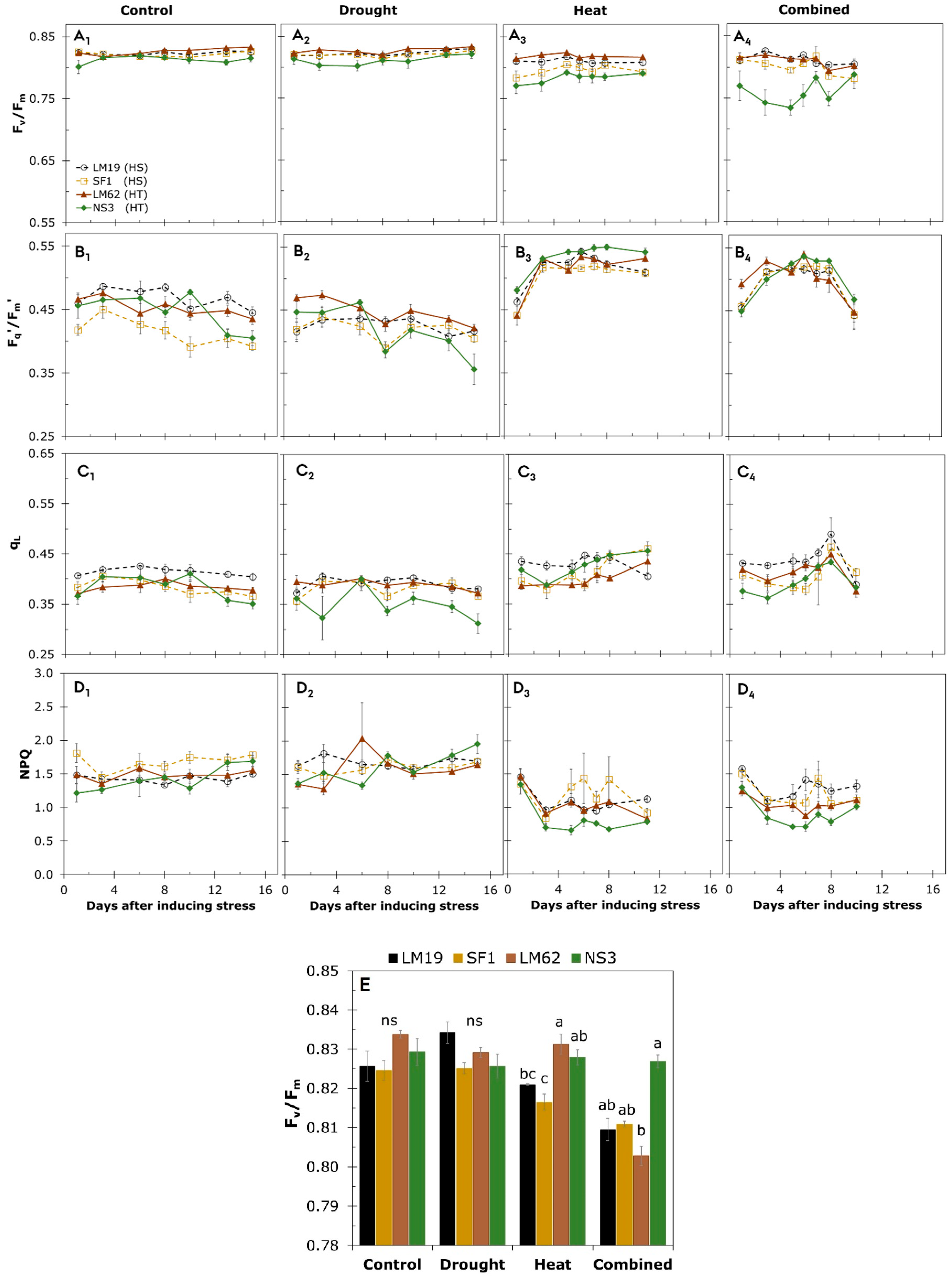 Agronomy 11 00364 g005
