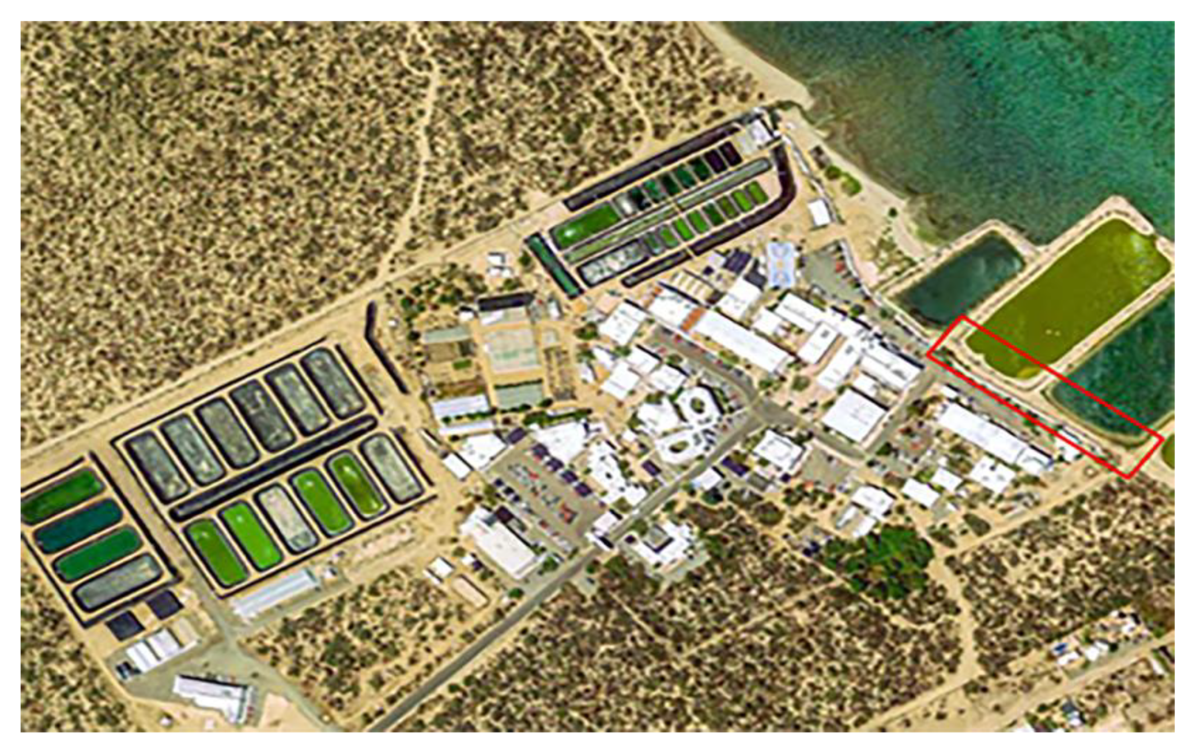 Agronomy 11 00424 g001