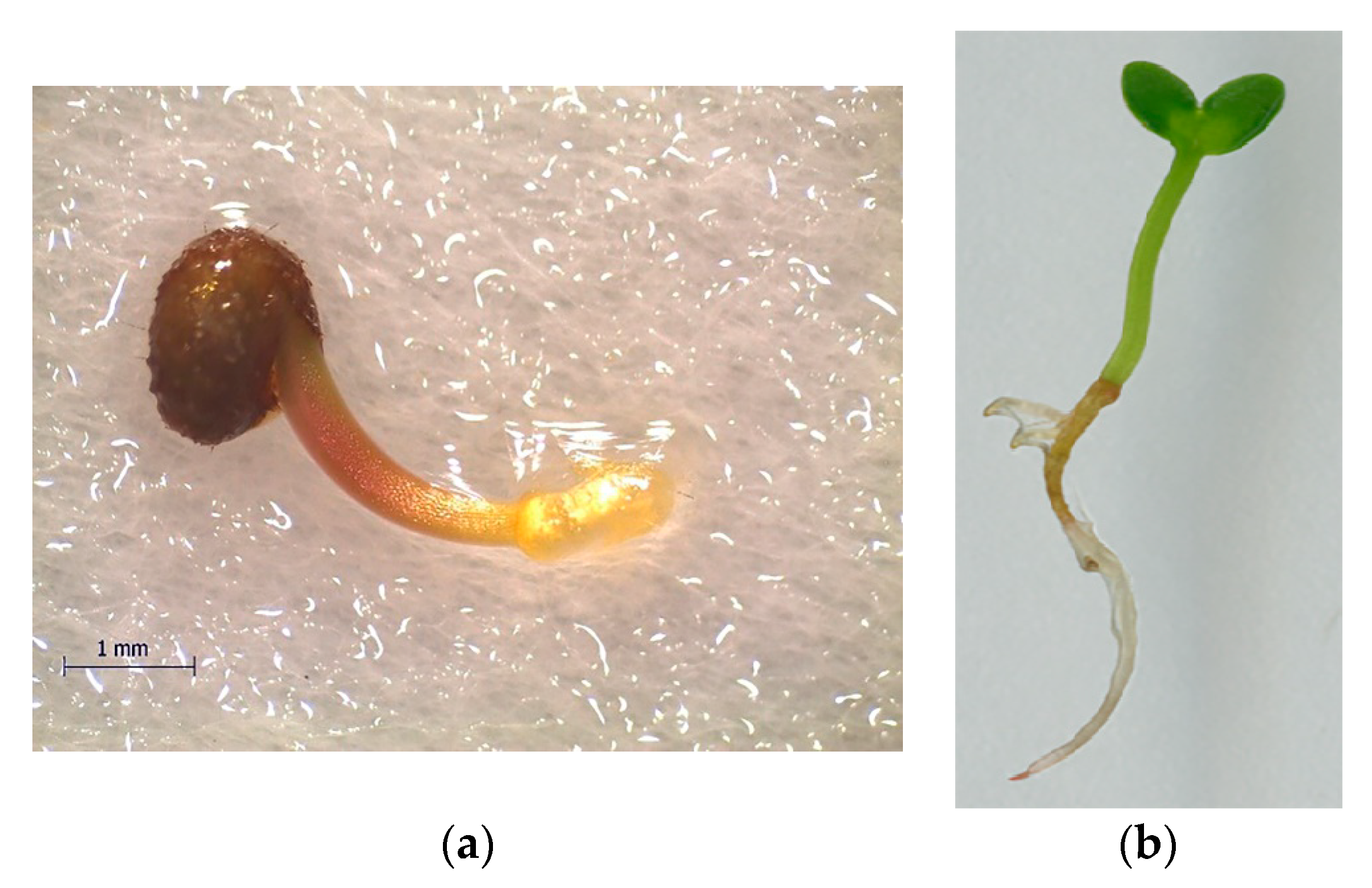 Agronomy 11 00424 g003