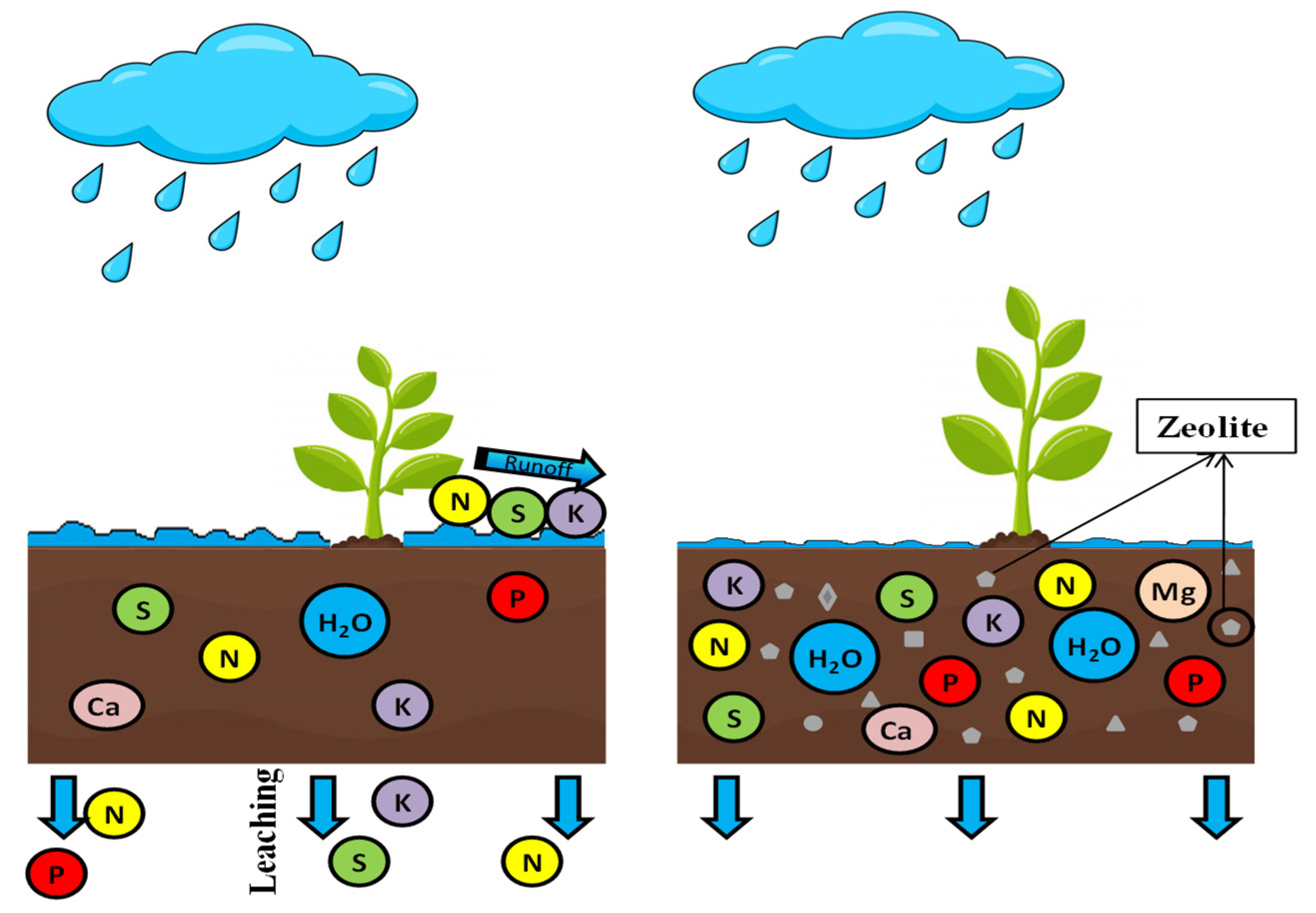 Agronomy 11 00448 g010 Agronomy 11 00448 g010