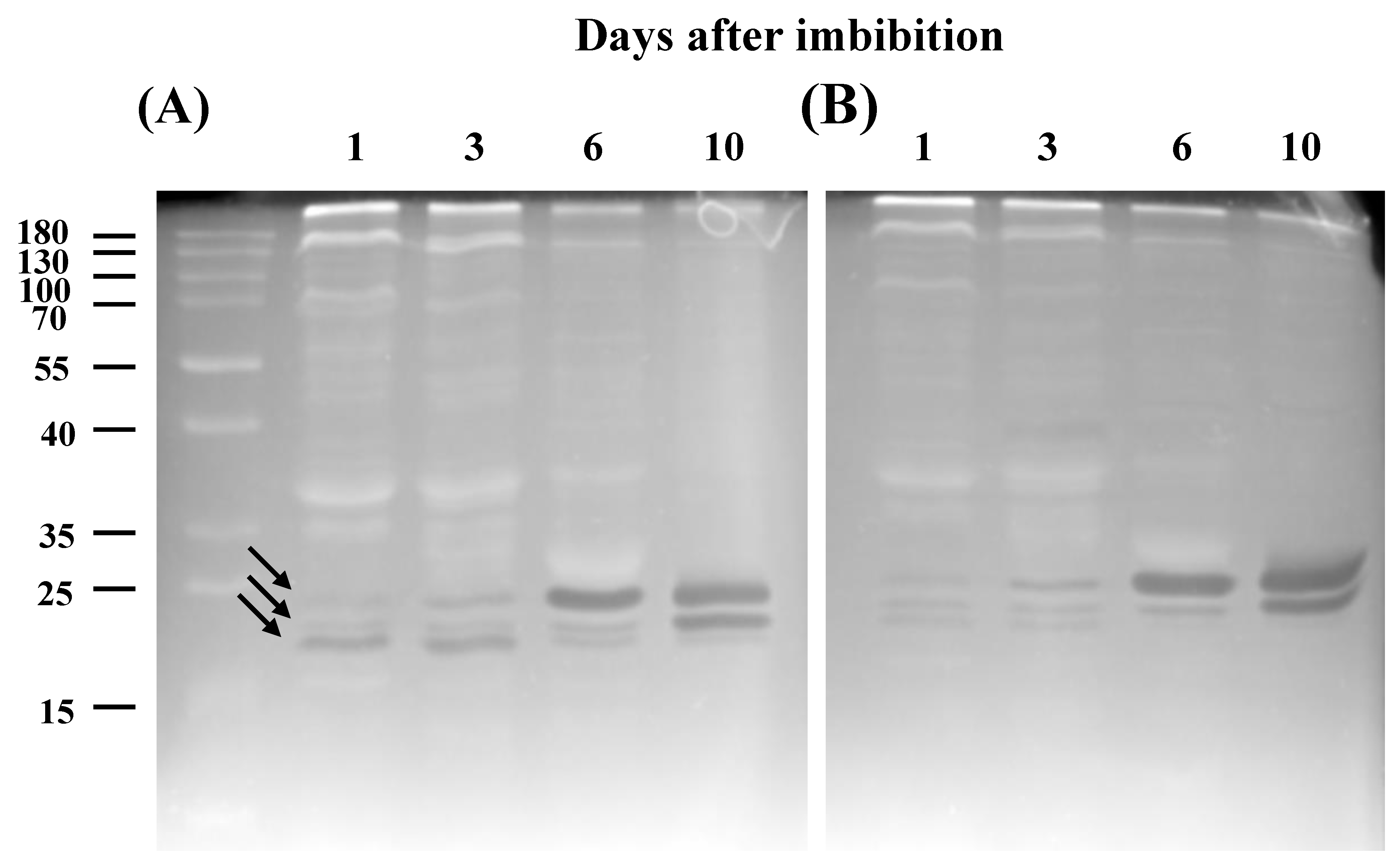 Agronomy 11 00490 g003 Agronomy 11 00490 g003