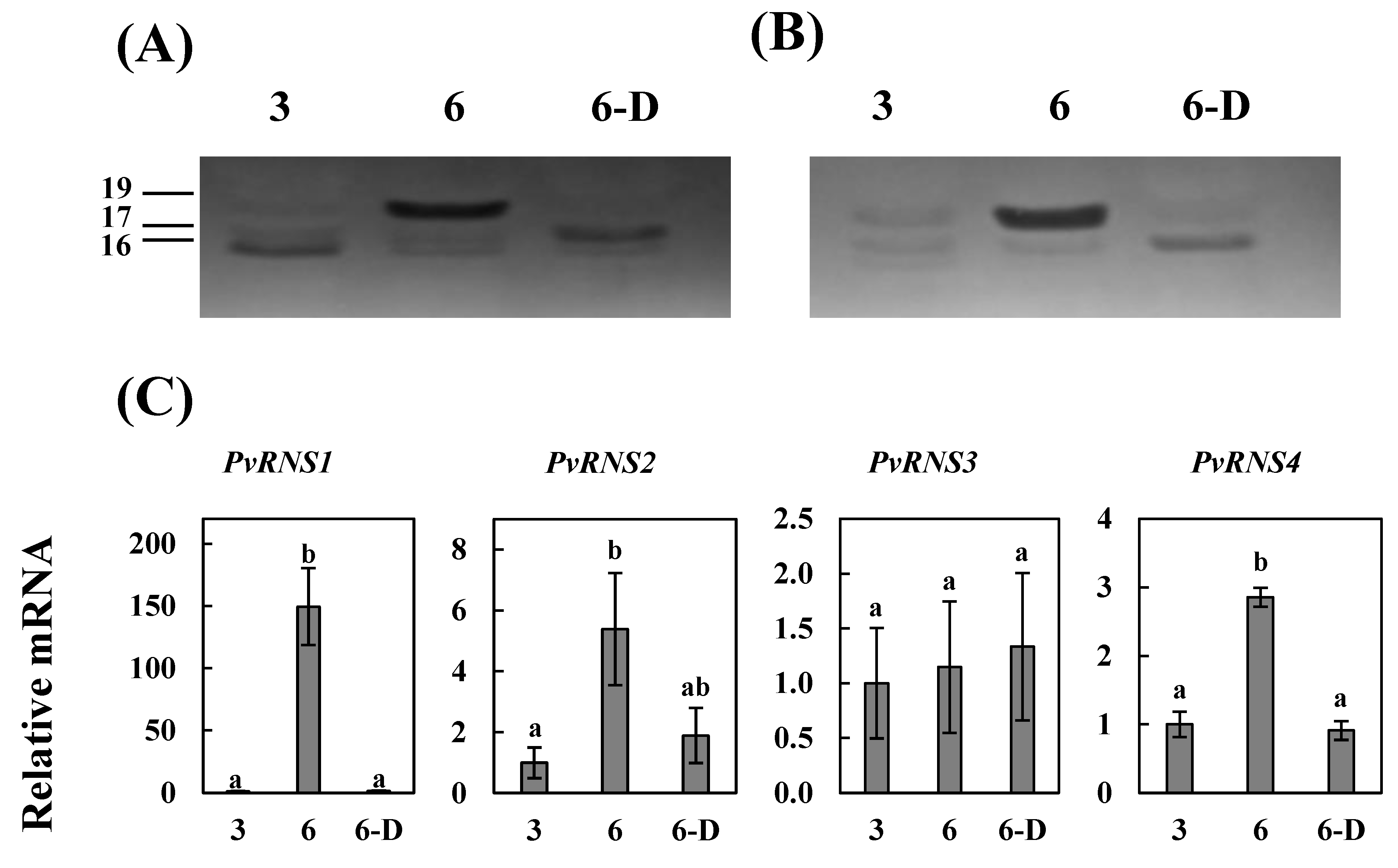 Agronomy 11 00490 g005 Agronomy 11 00490 g005