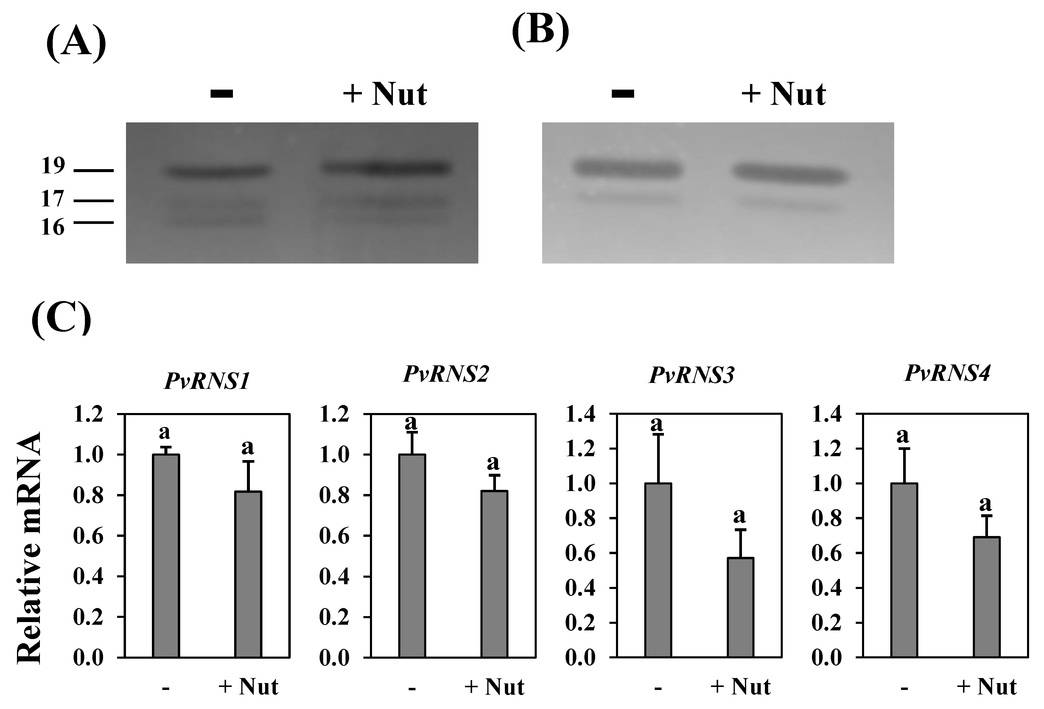 Agronomy 11 00490 g006 Agronomy 11 00490 g006
