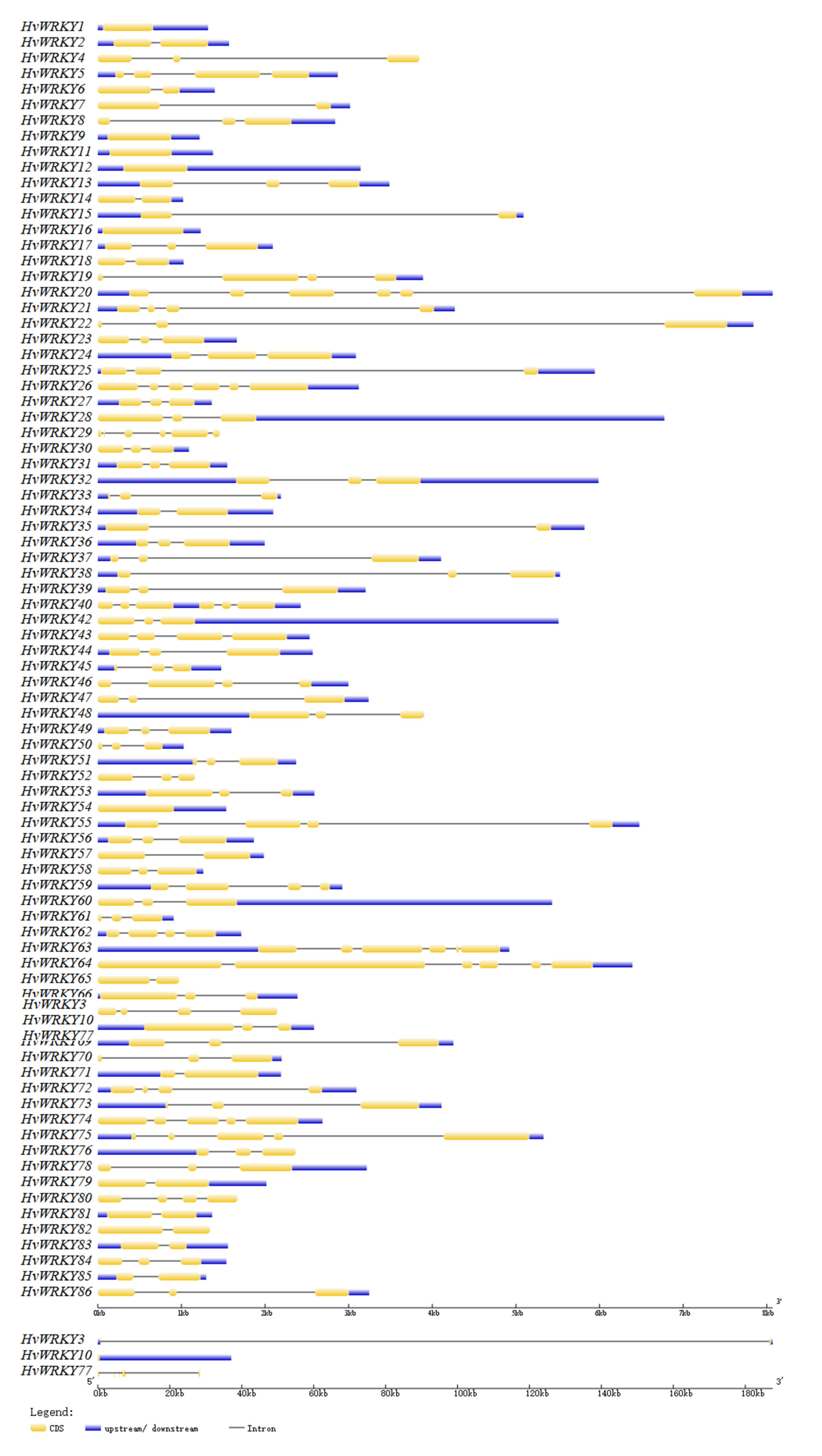 Agronomy 11 00521 g006 Agronomy 11 00521 g006