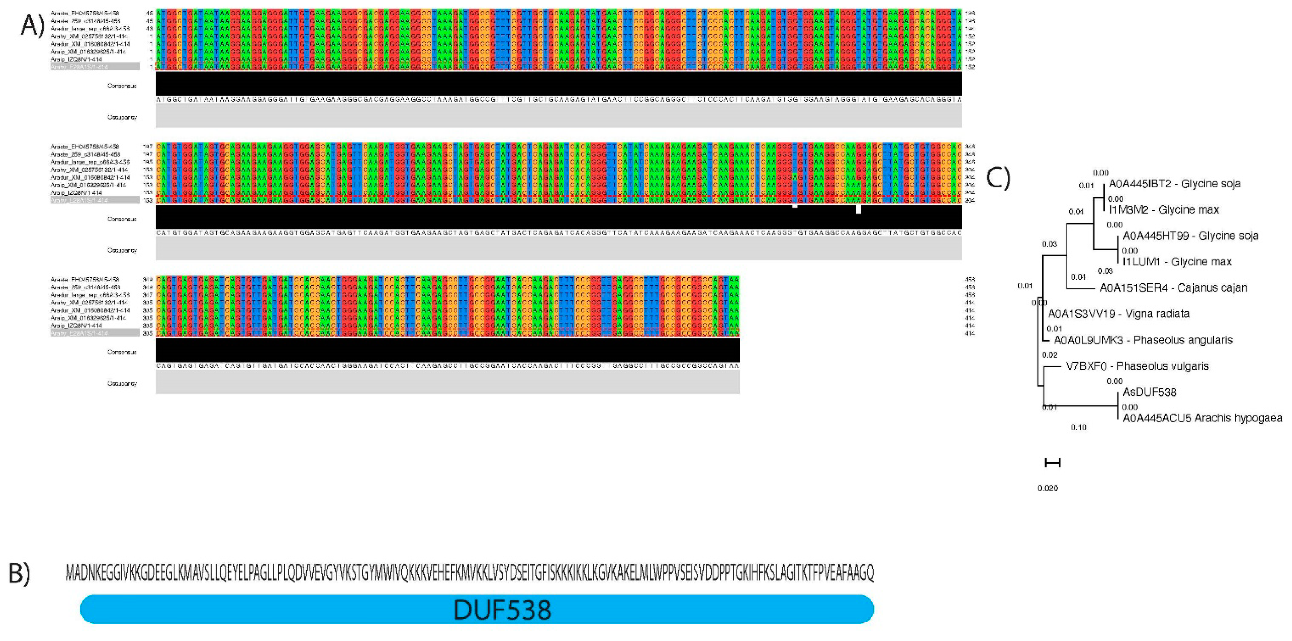Agronomy 11 00559 g001 Agronomy 11 00559 g001