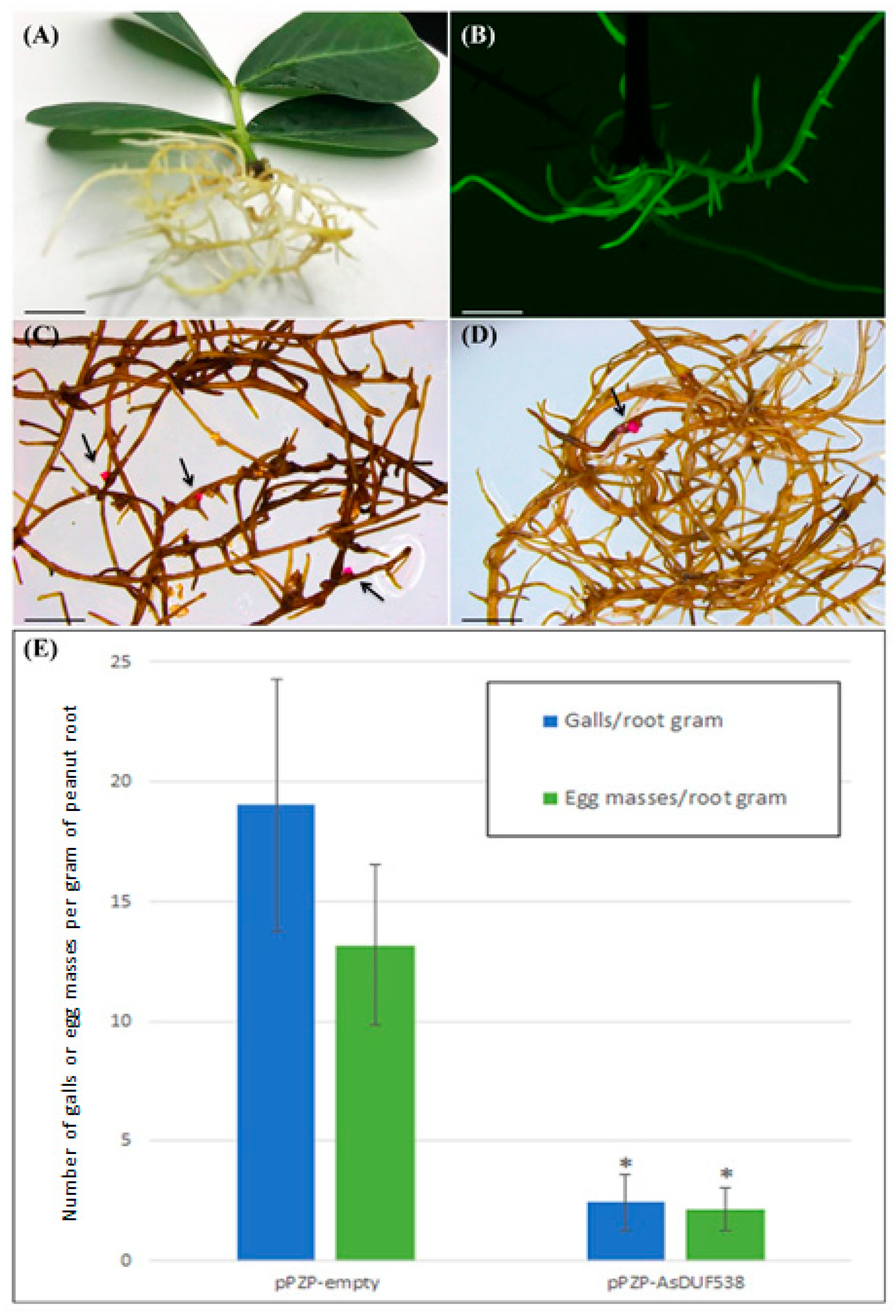 Agronomy 11 00559 g003 Agronomy 11 00559 g003