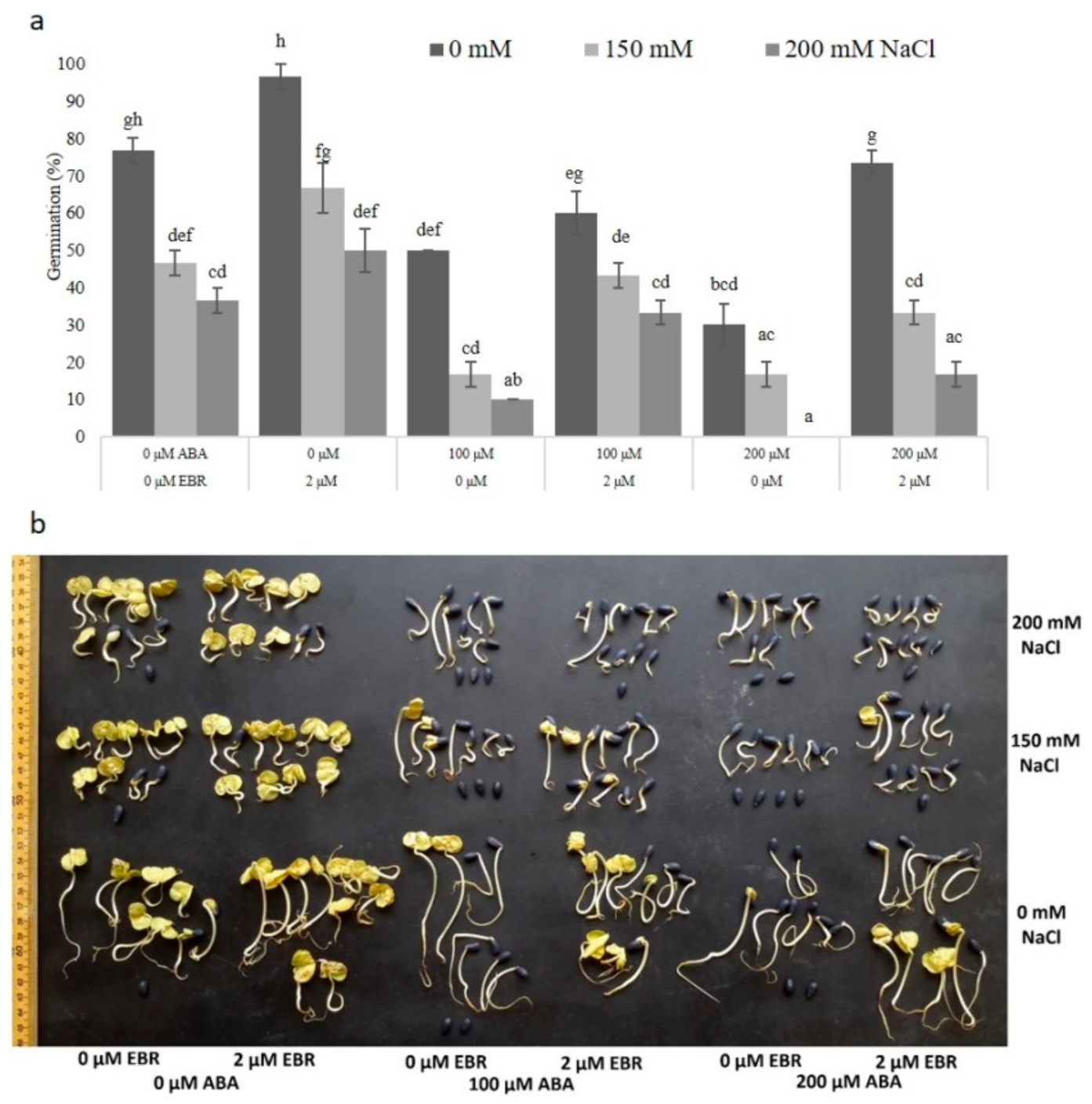 Agronomy 11 00566 g003
