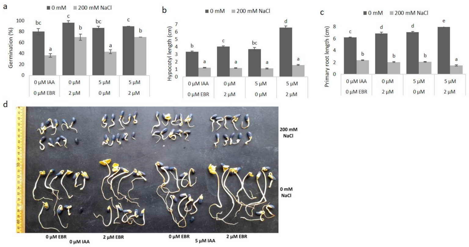 Agronomy 11 00566 g005