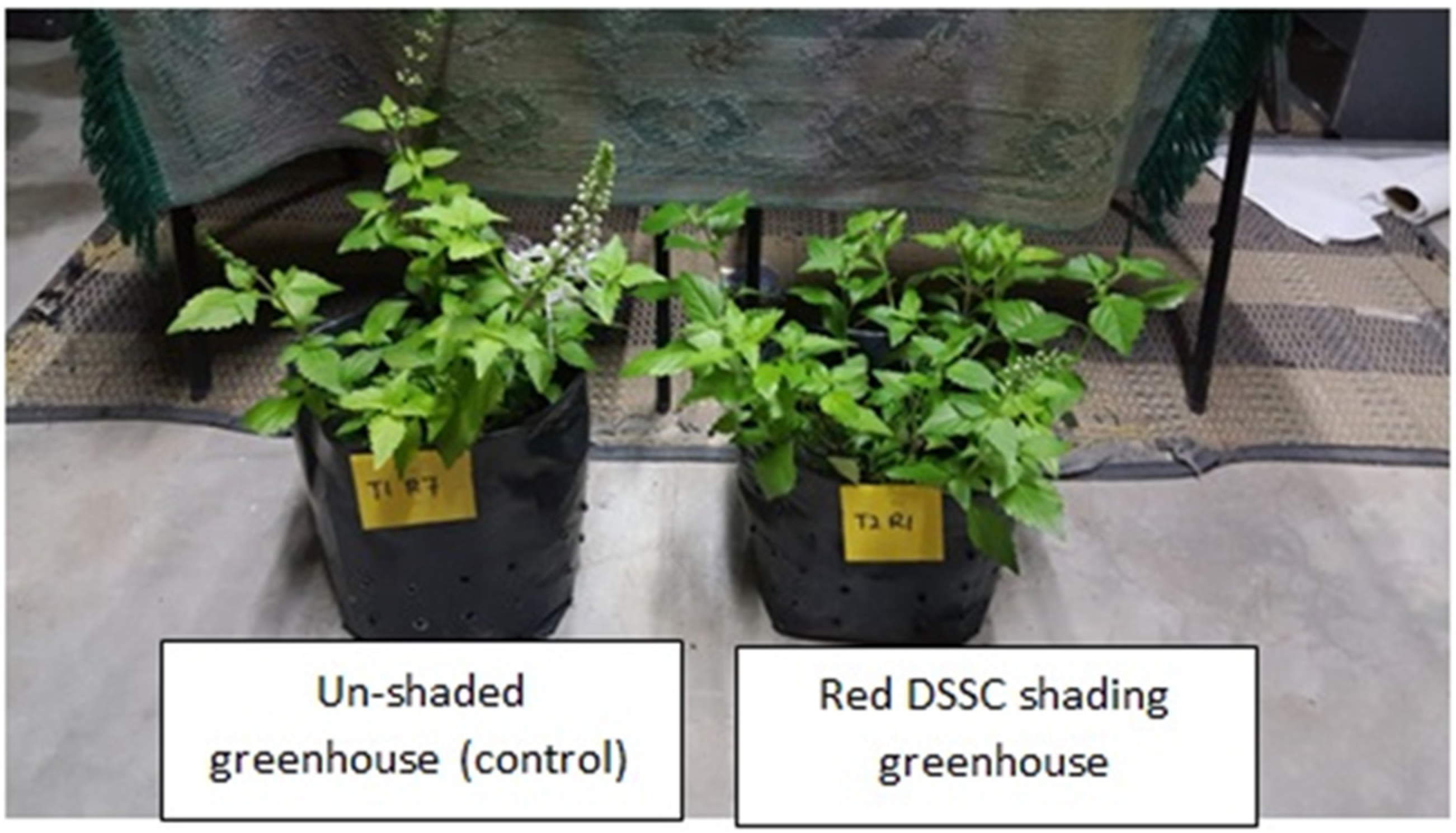 Agronomy  Free Full-Text  Dye-Sensitized Solar Cell (DSSC 