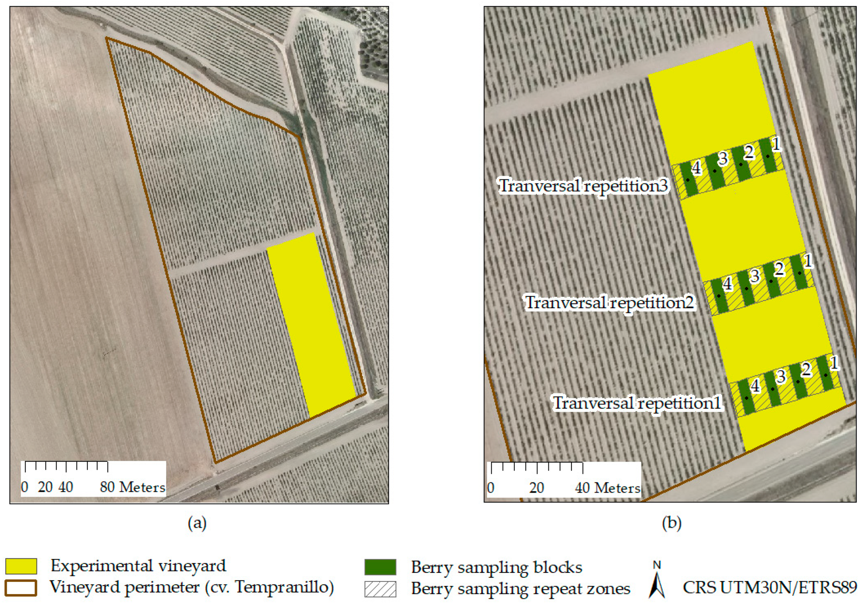 Agronomy 11 00655 g003 Agronomy 11 00655 g003