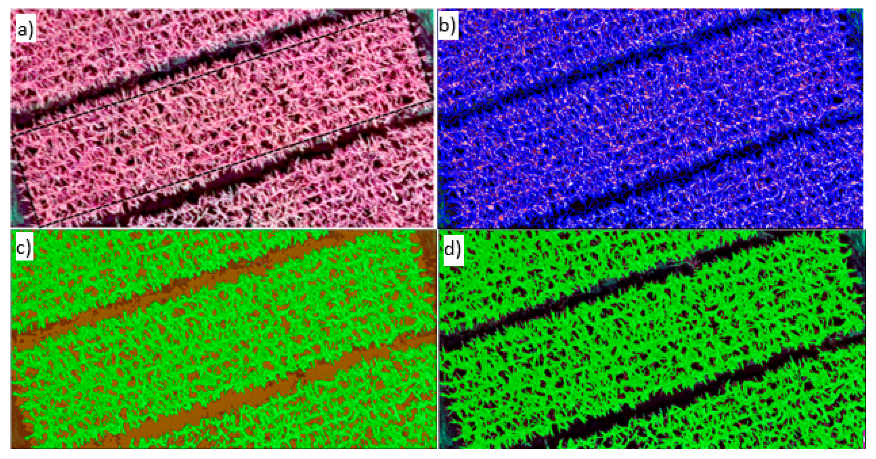 Agronomy 11 00668 g004 Agronomy 11 00668 g004