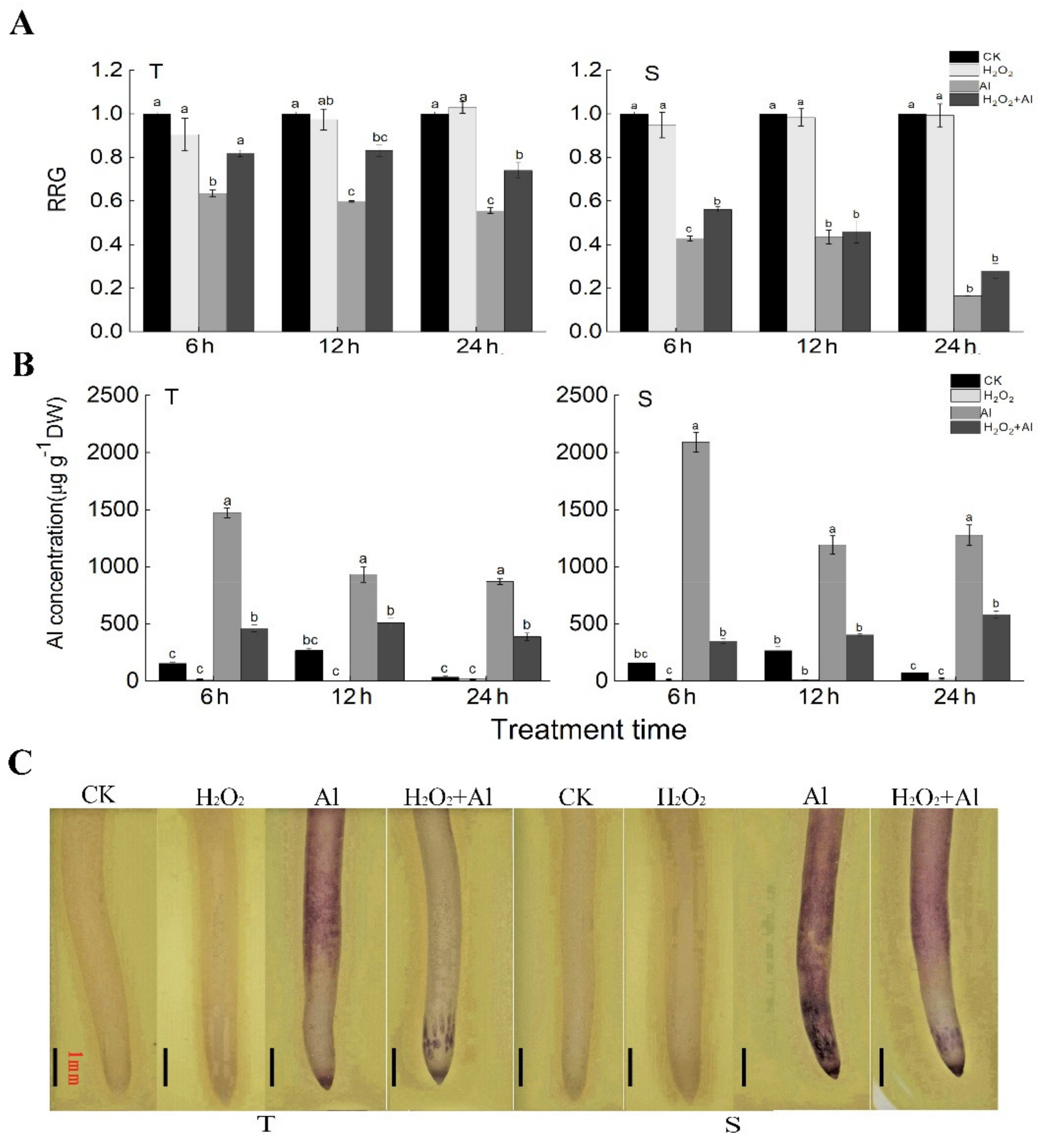 Agronomy 11 00670 g005 Agronomy 11 00670 g005