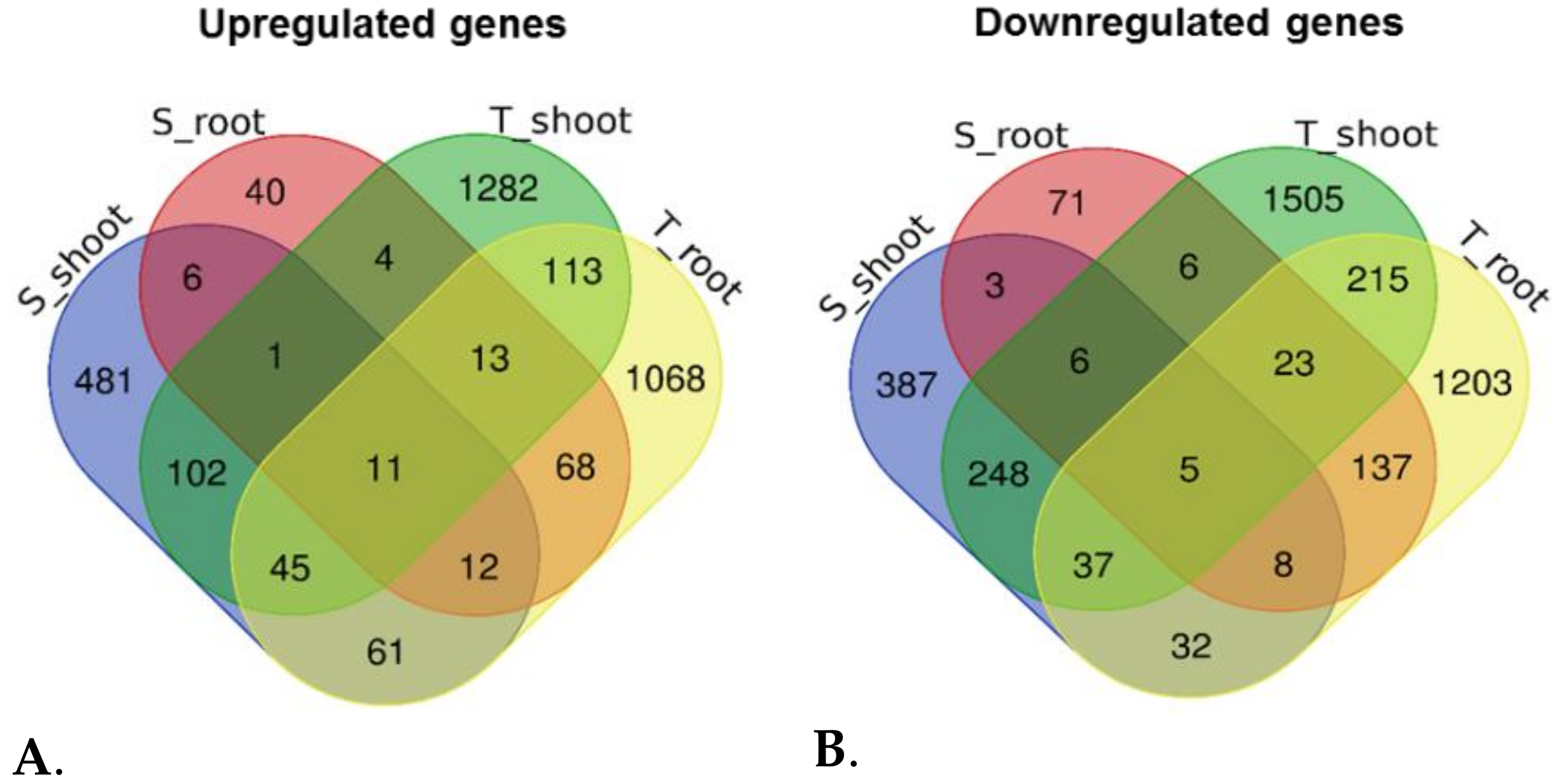 Agronomy 11 00691 g004 Agronomy 11 00691 g004